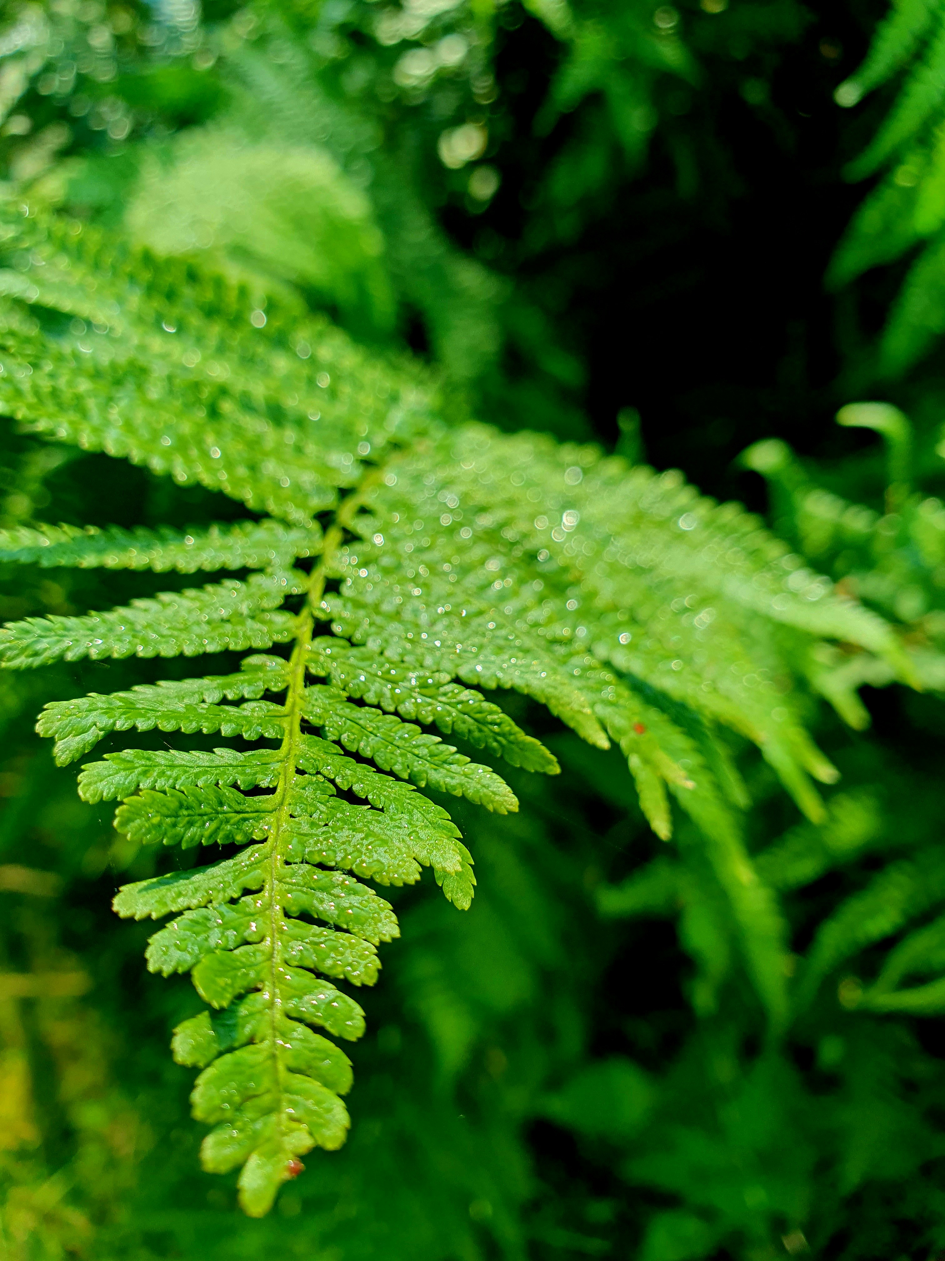 Photo by arcturiankimona