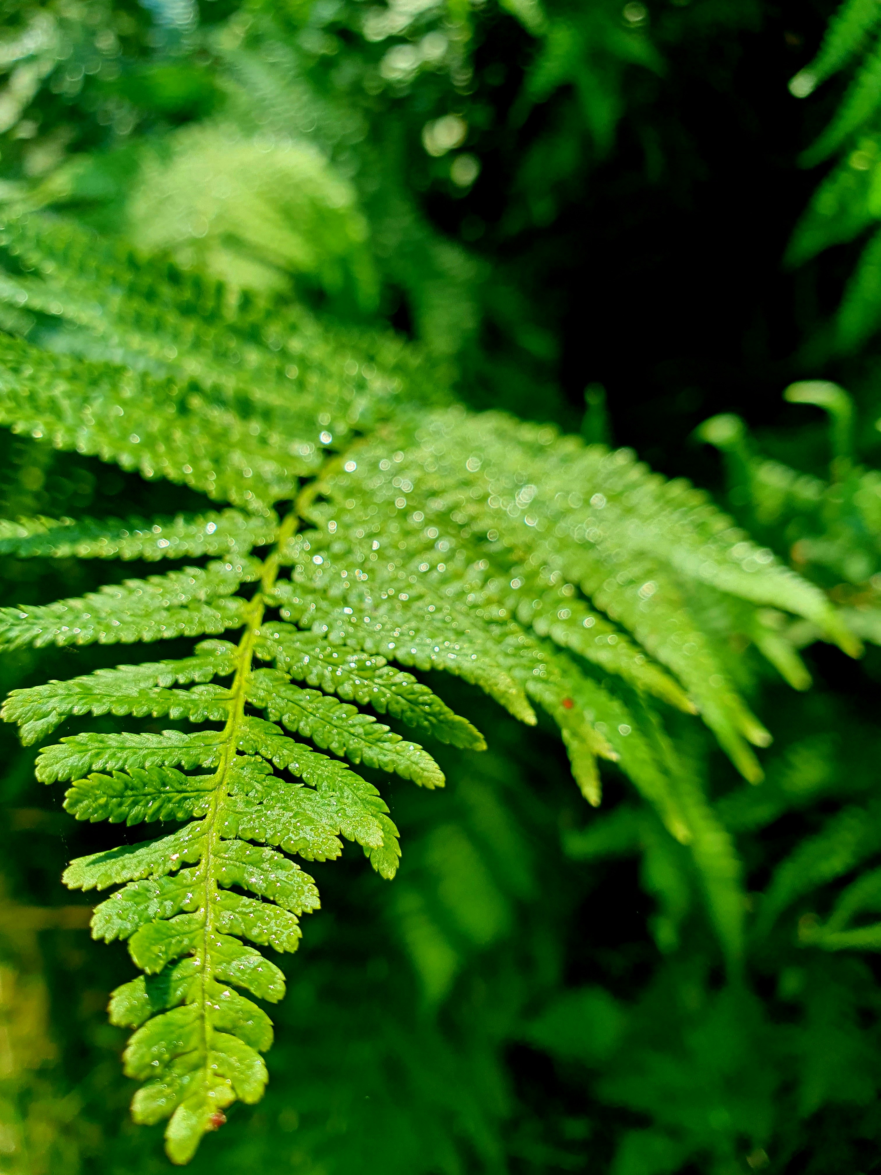 Photo by arcturiankimona