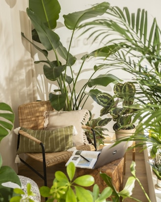 Chair with plants, laptop, and books in a bright room.