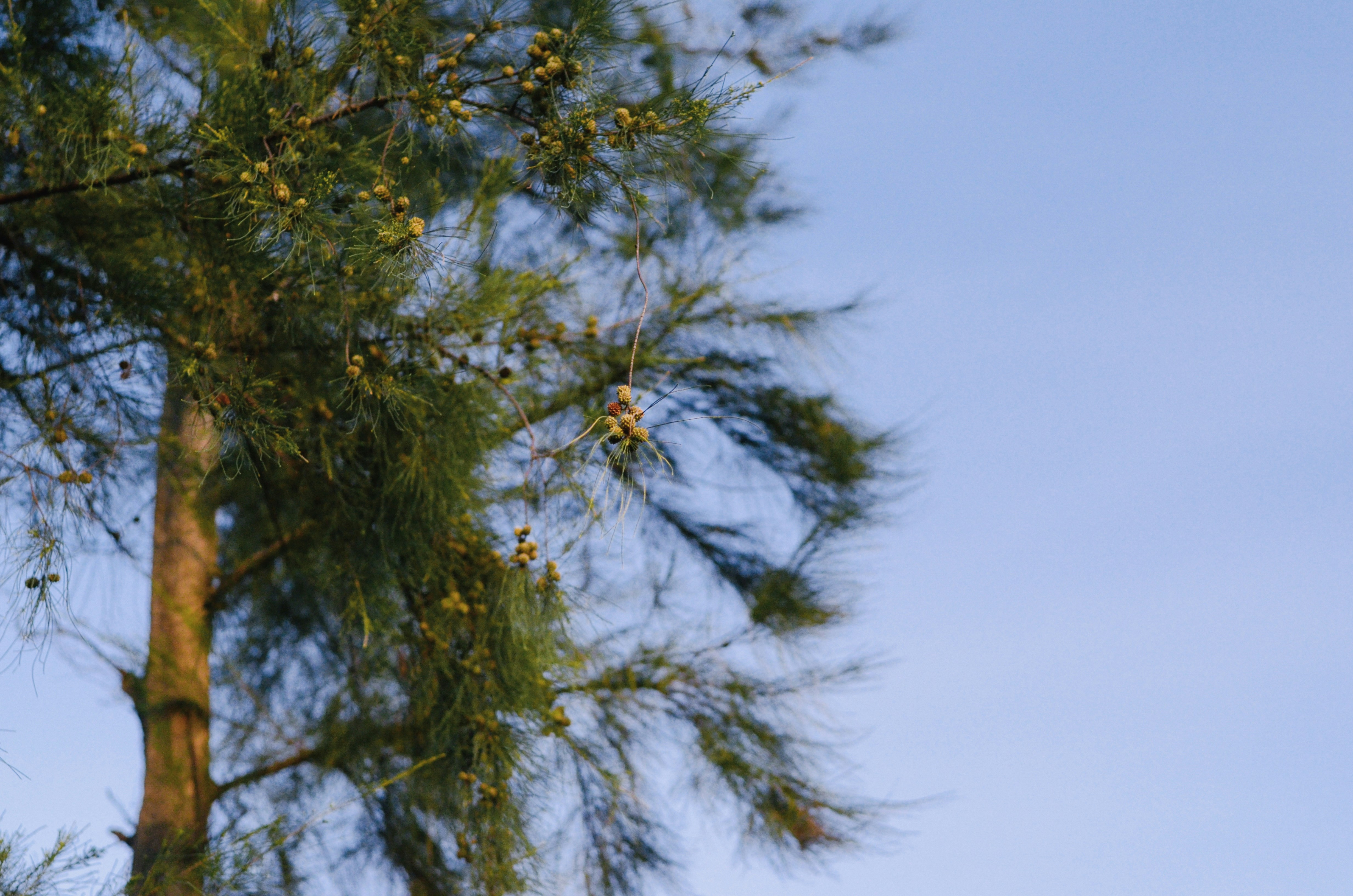 Photo by potatonorim