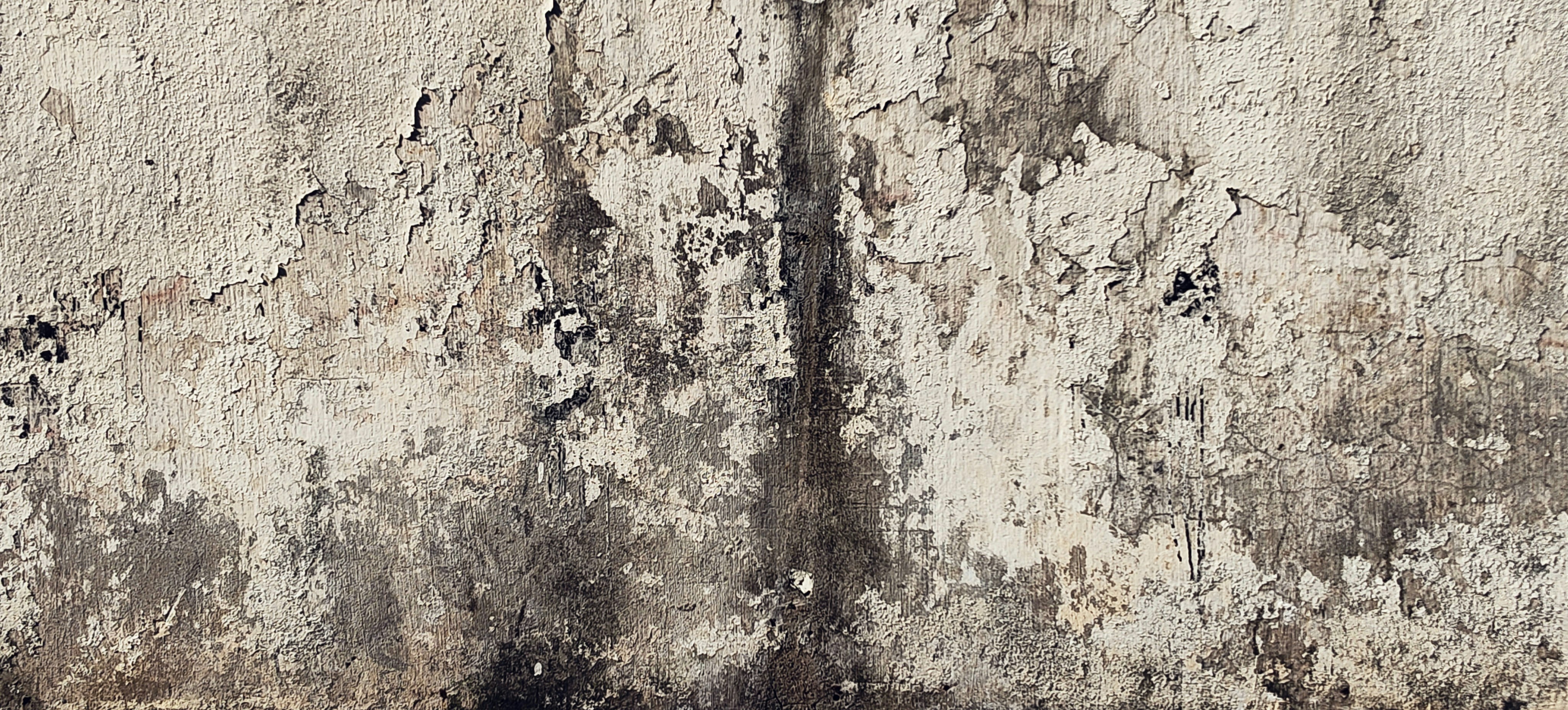 Photo by thomaskinto