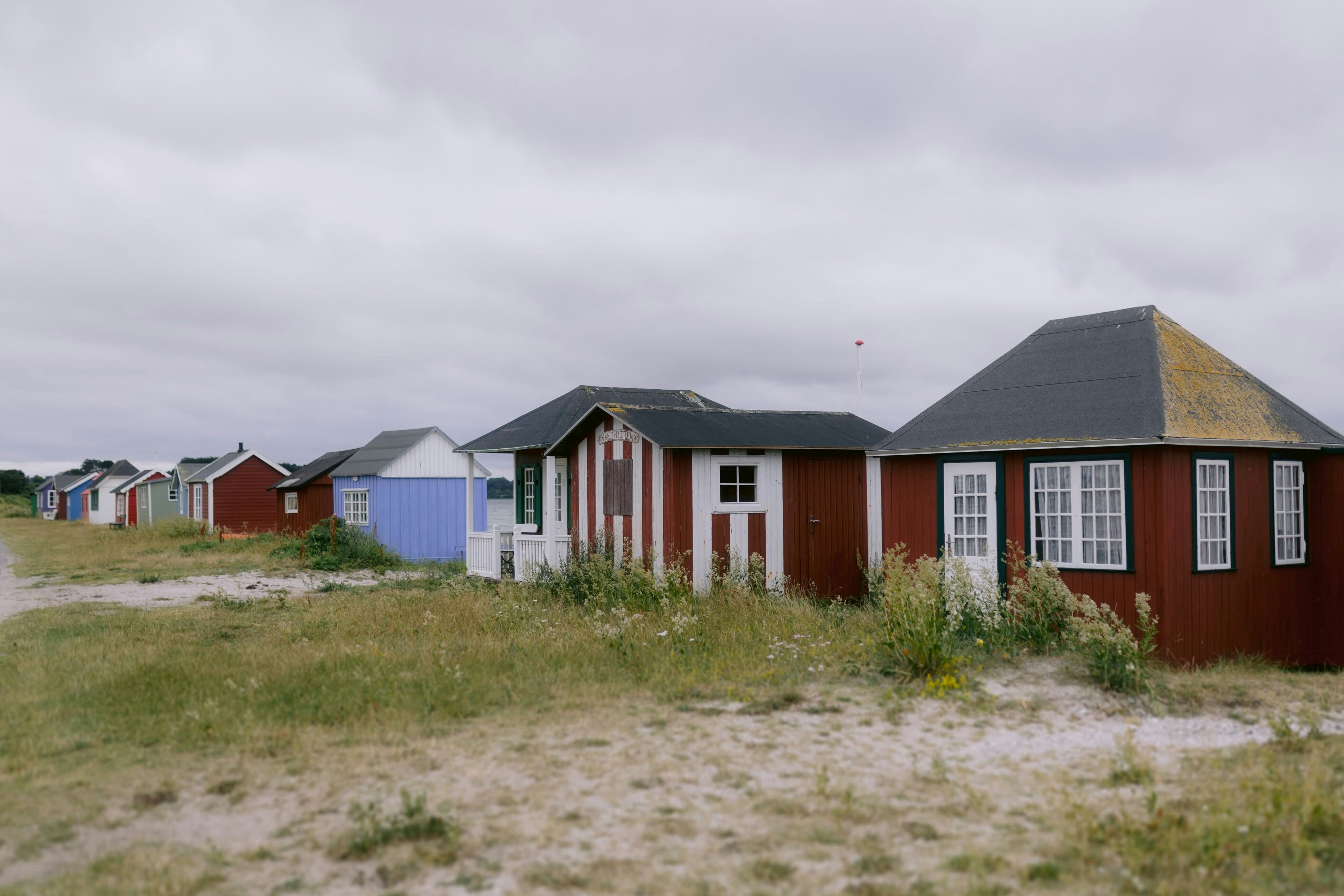 Photo by ievaviphoto