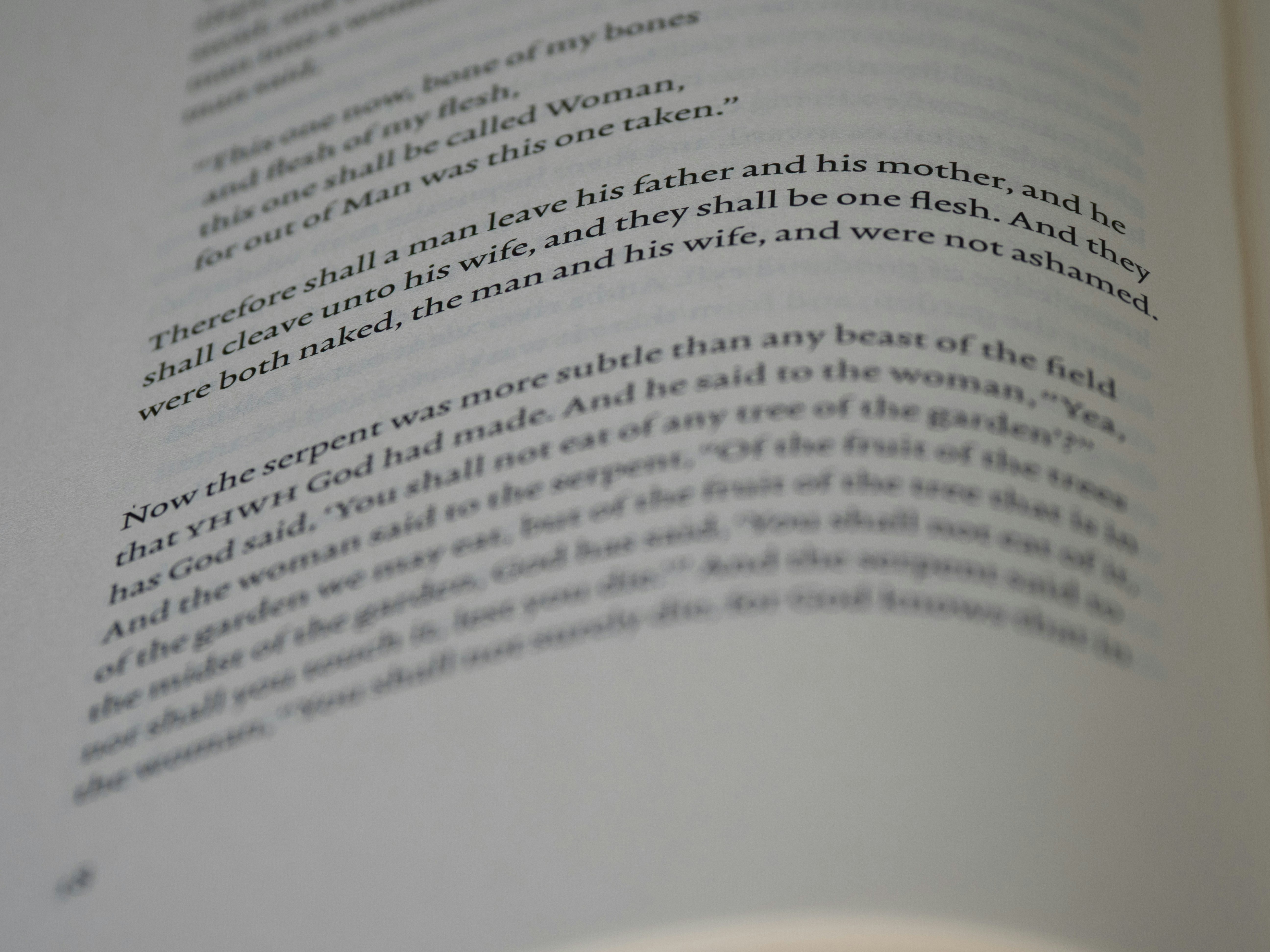 Photo by brett_jordan