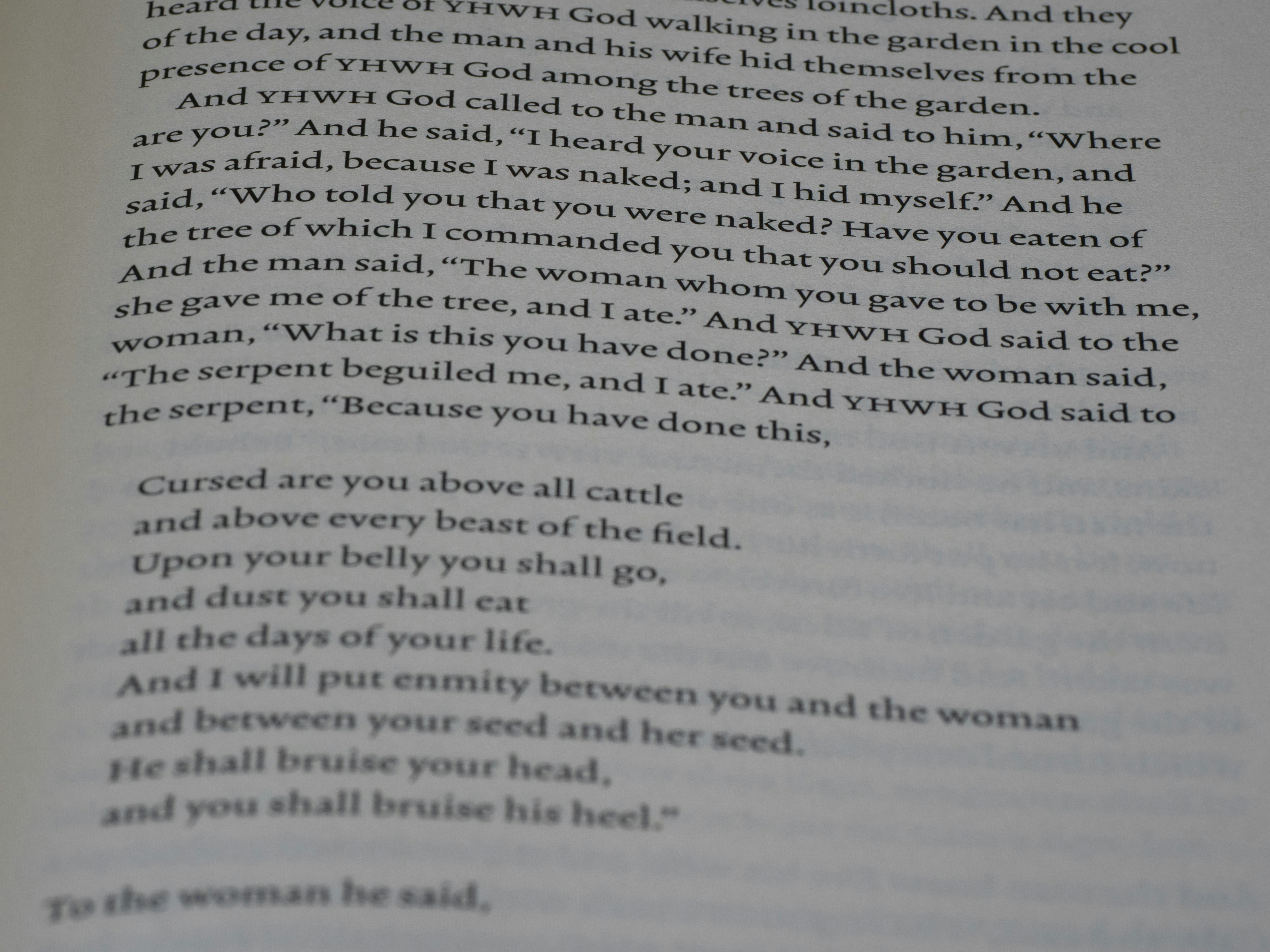Close-up teks dari halaman buku.