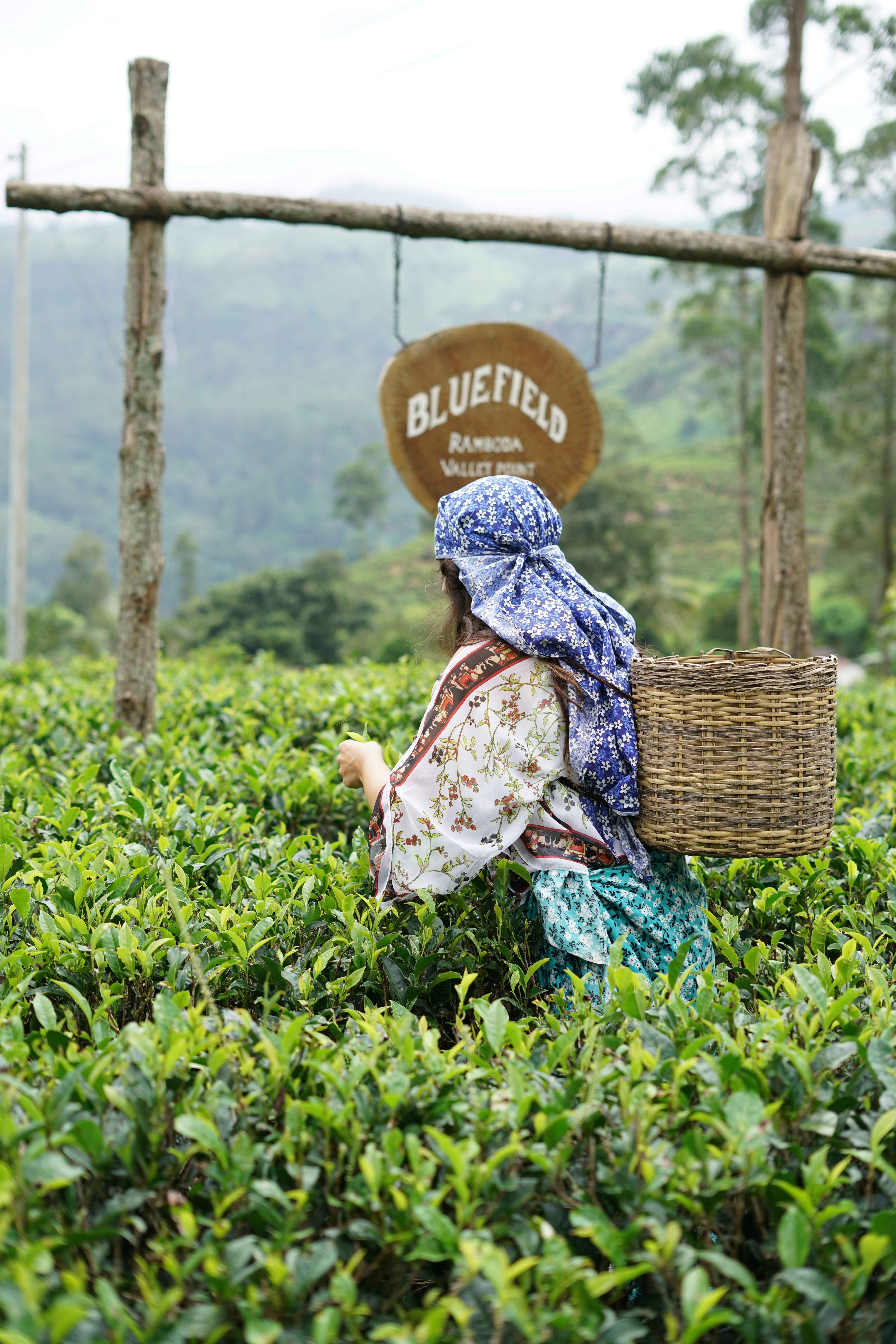 Couples at tea plantation