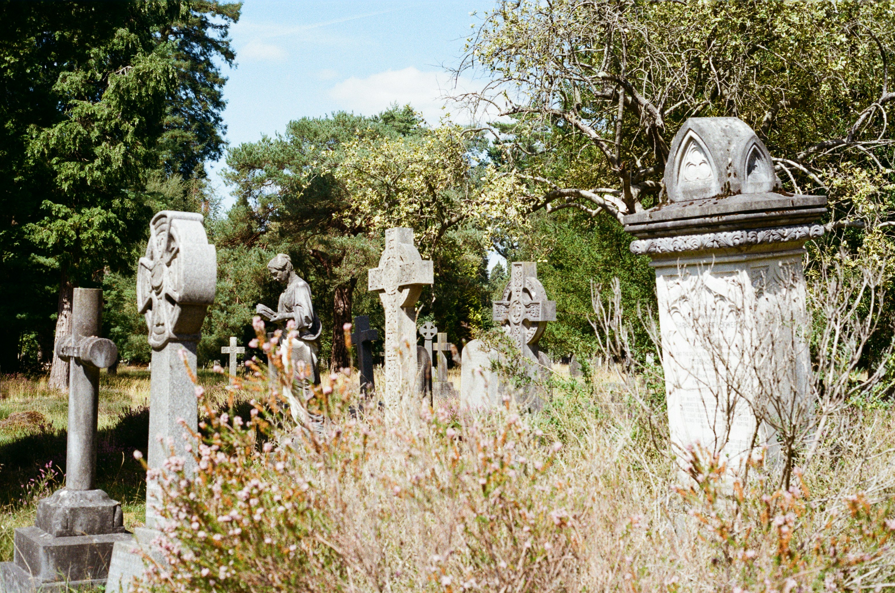 Photo by tanyabarrow