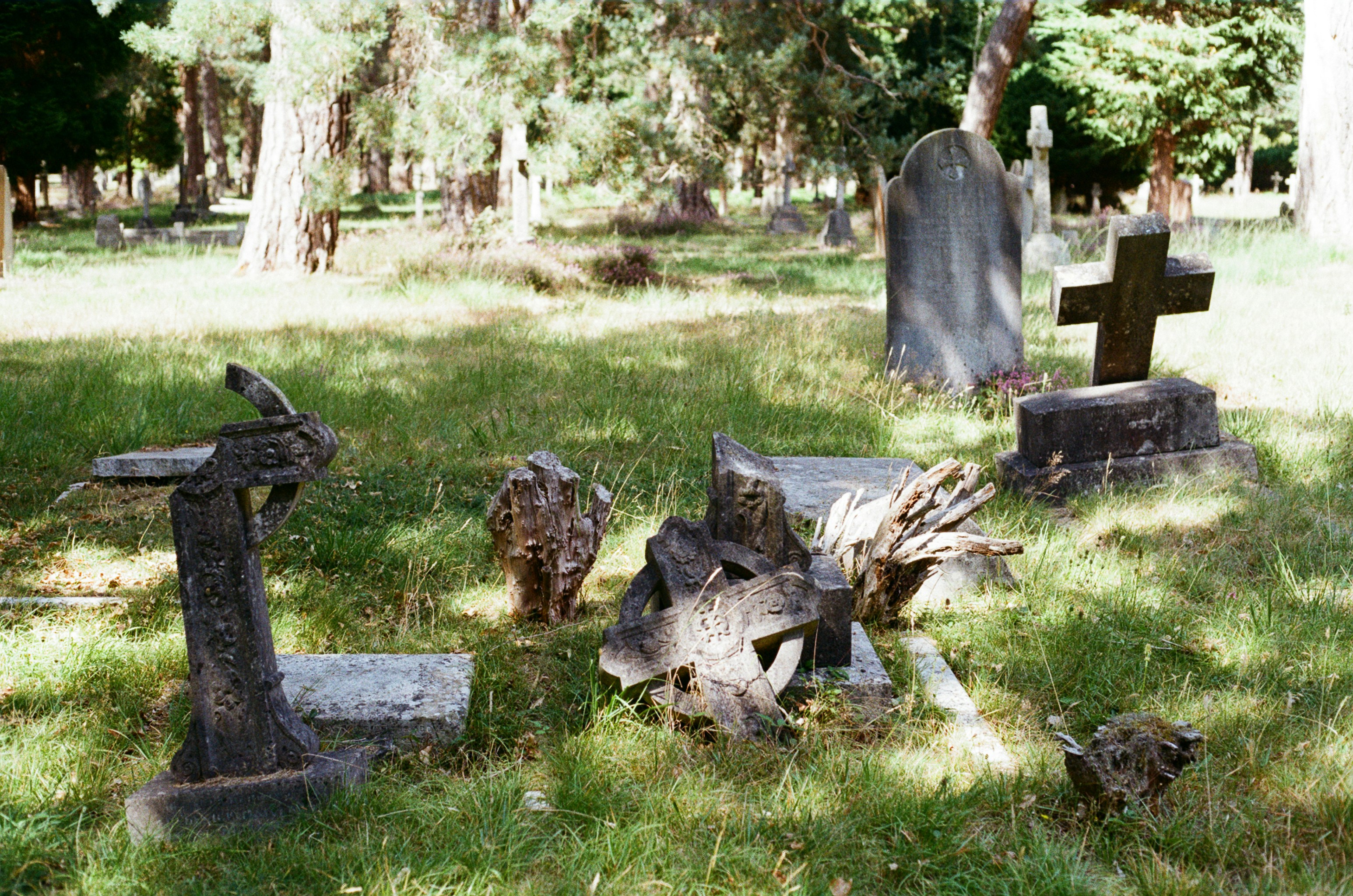 Photo by tanyabarrow