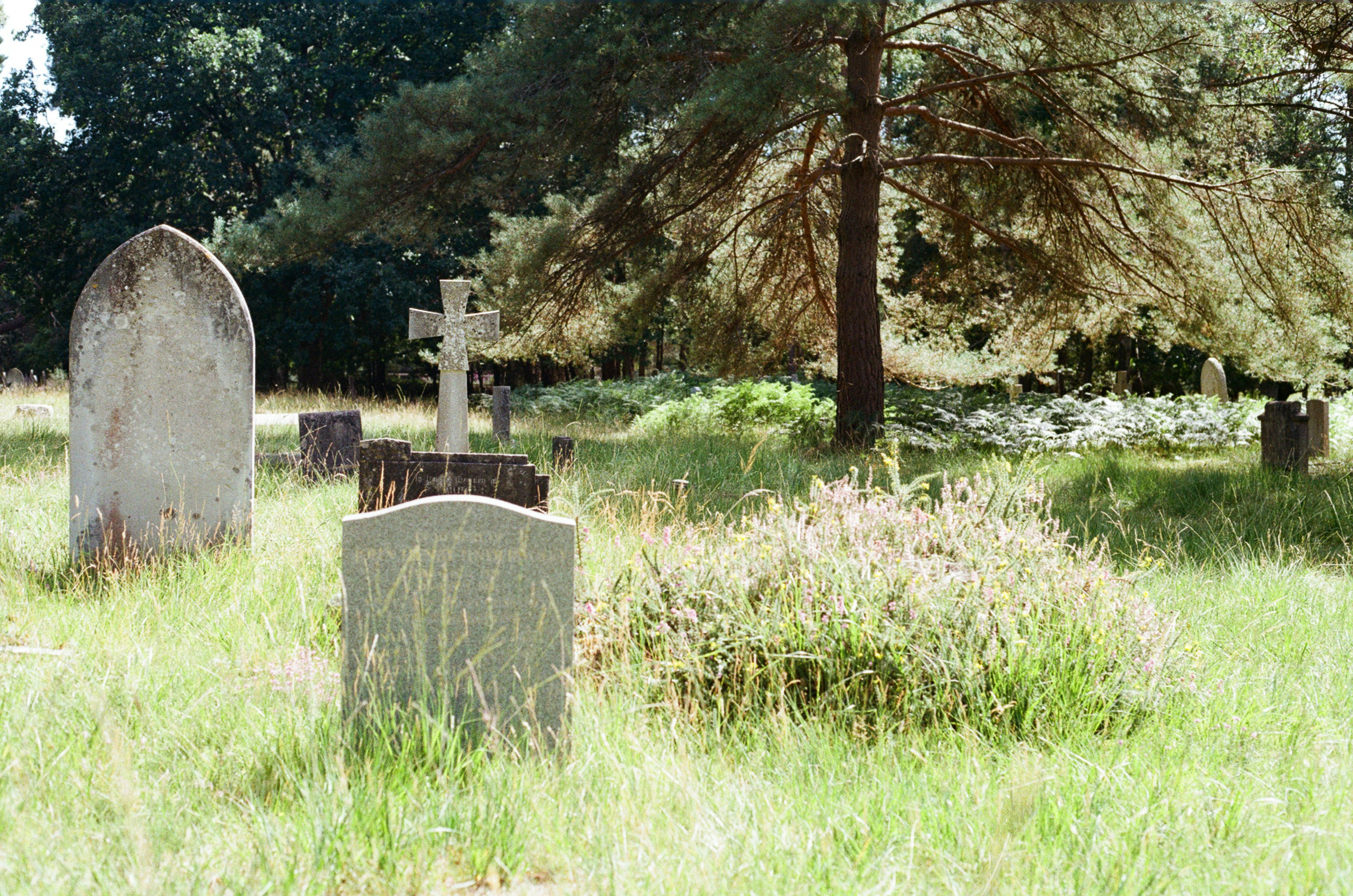 Photo by tanyabarrow