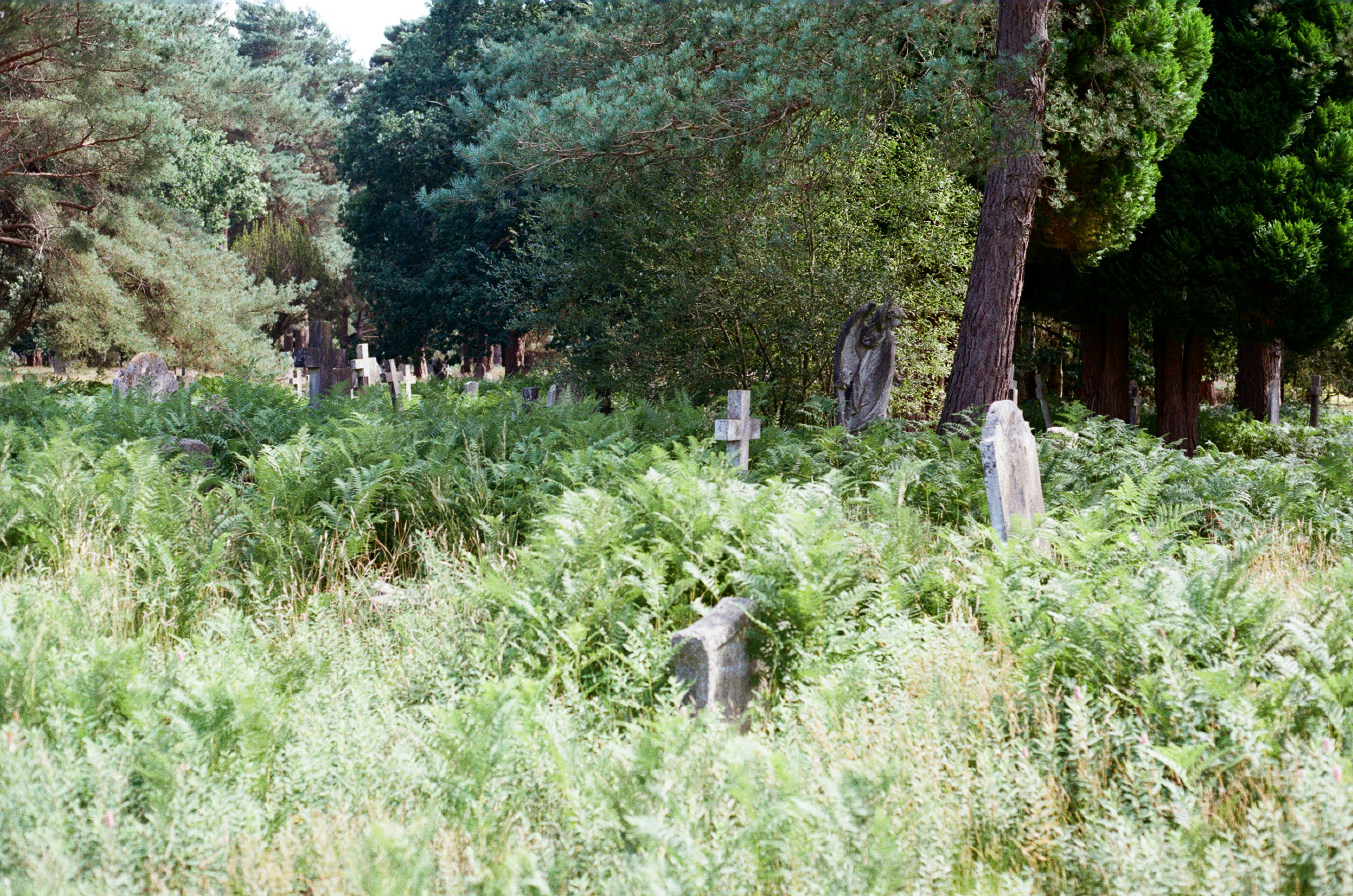 Photo by tanyabarrow