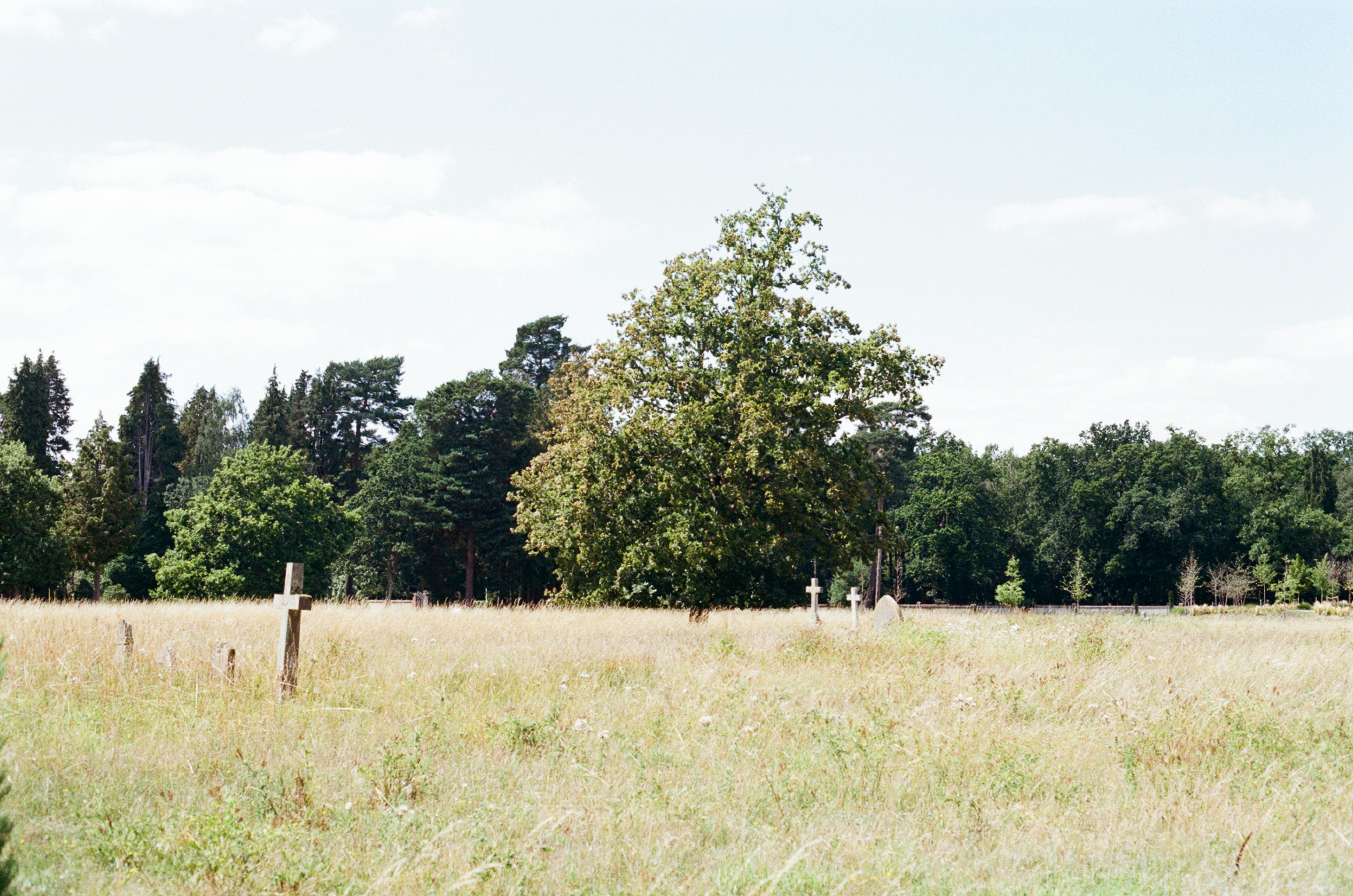 Photo by tanyabarrow