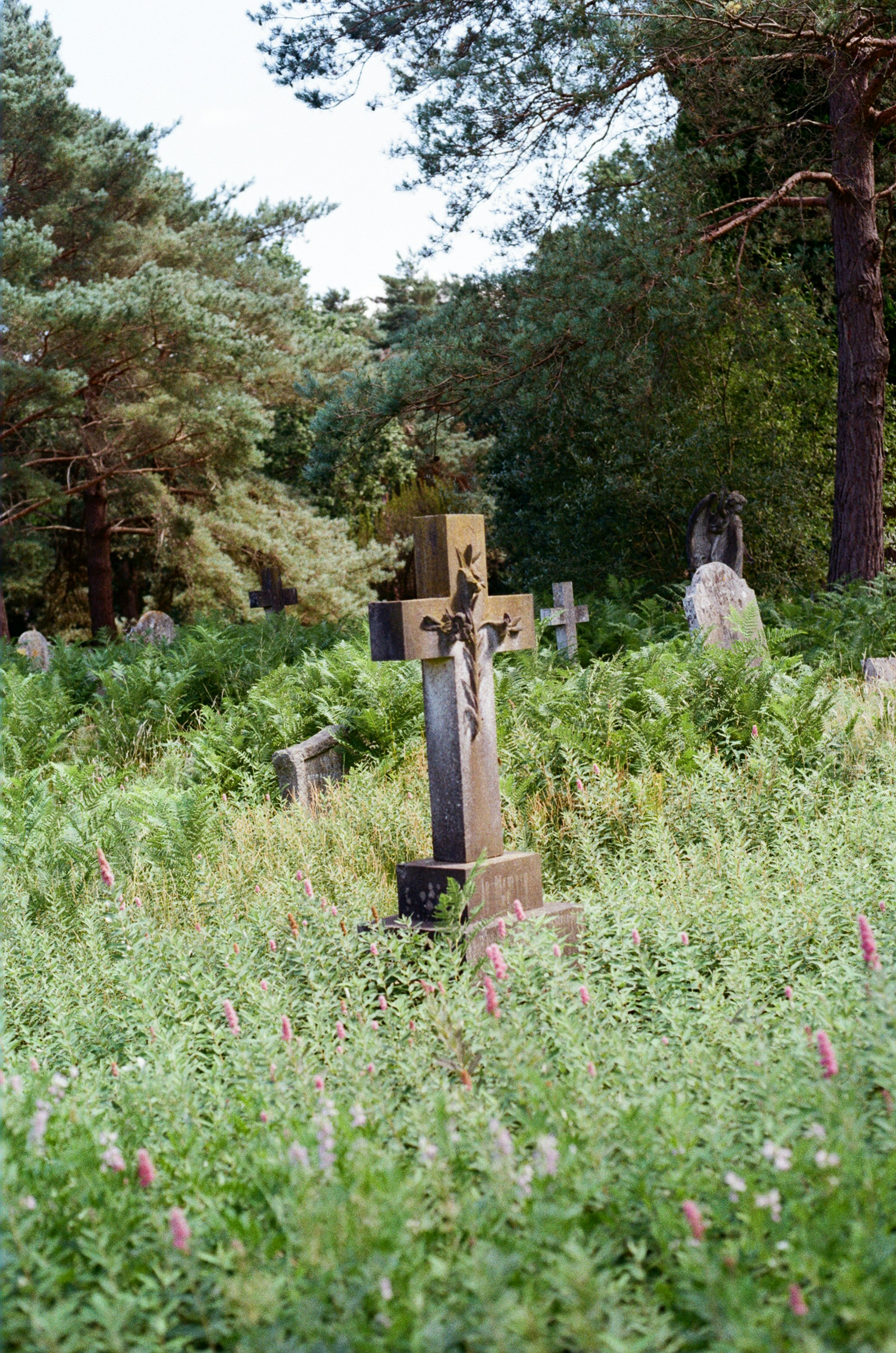 Photo by tanyabarrow