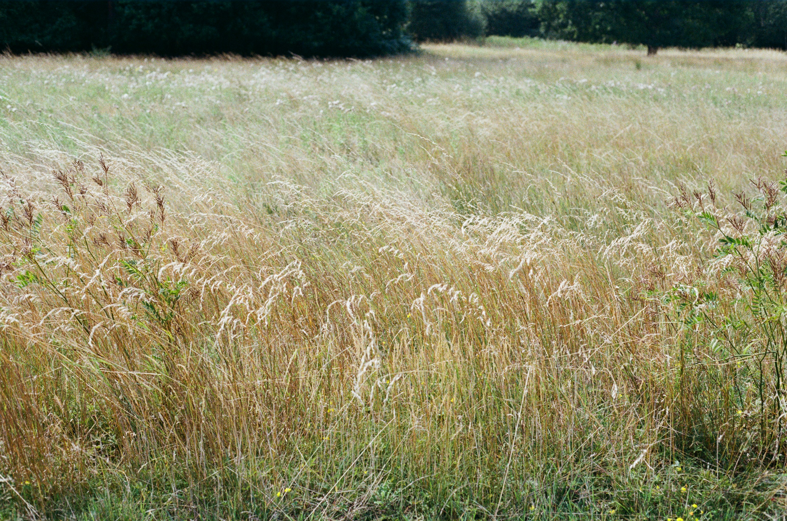 Photo by tanyabarrow