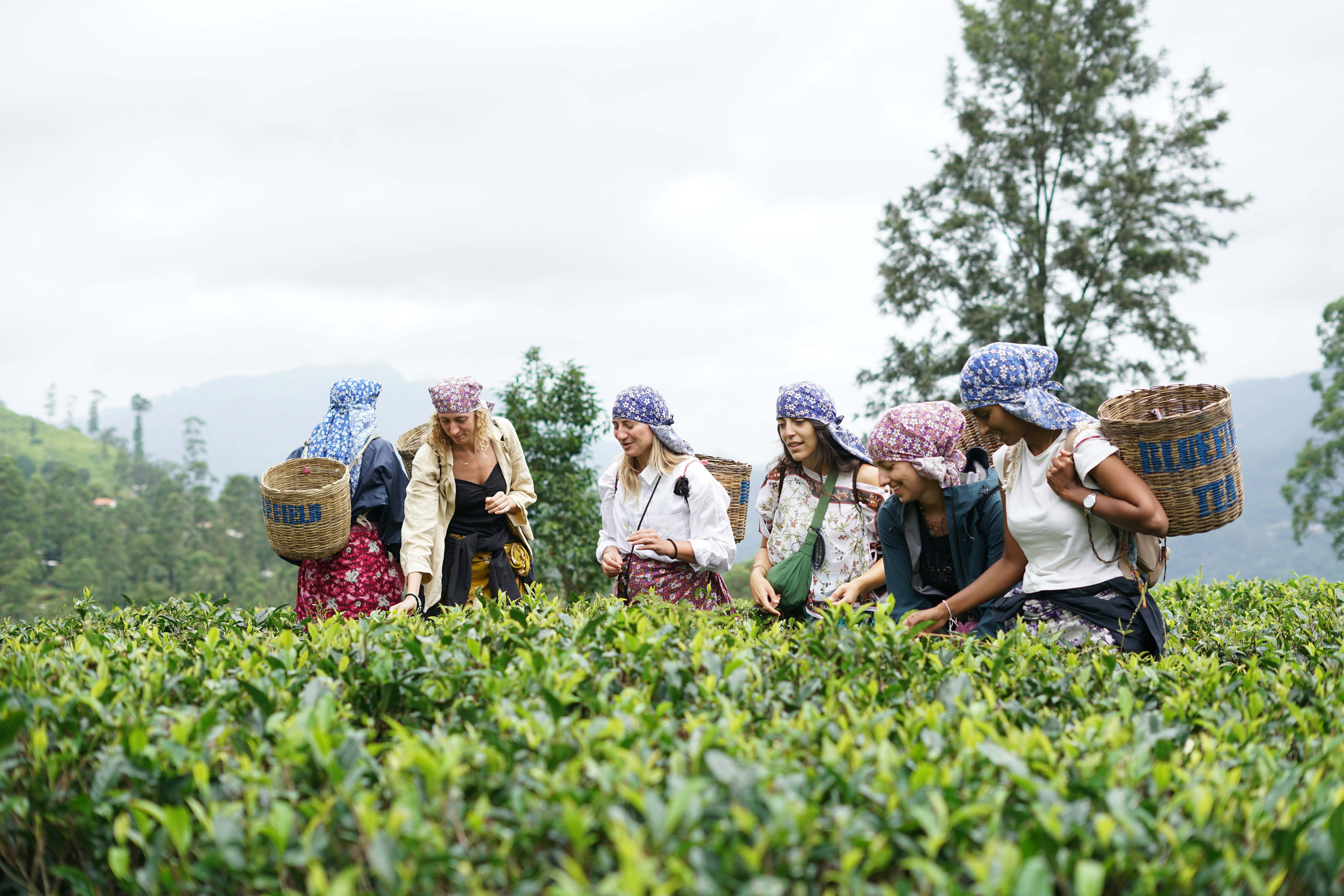 Photo by praveenmaleesha