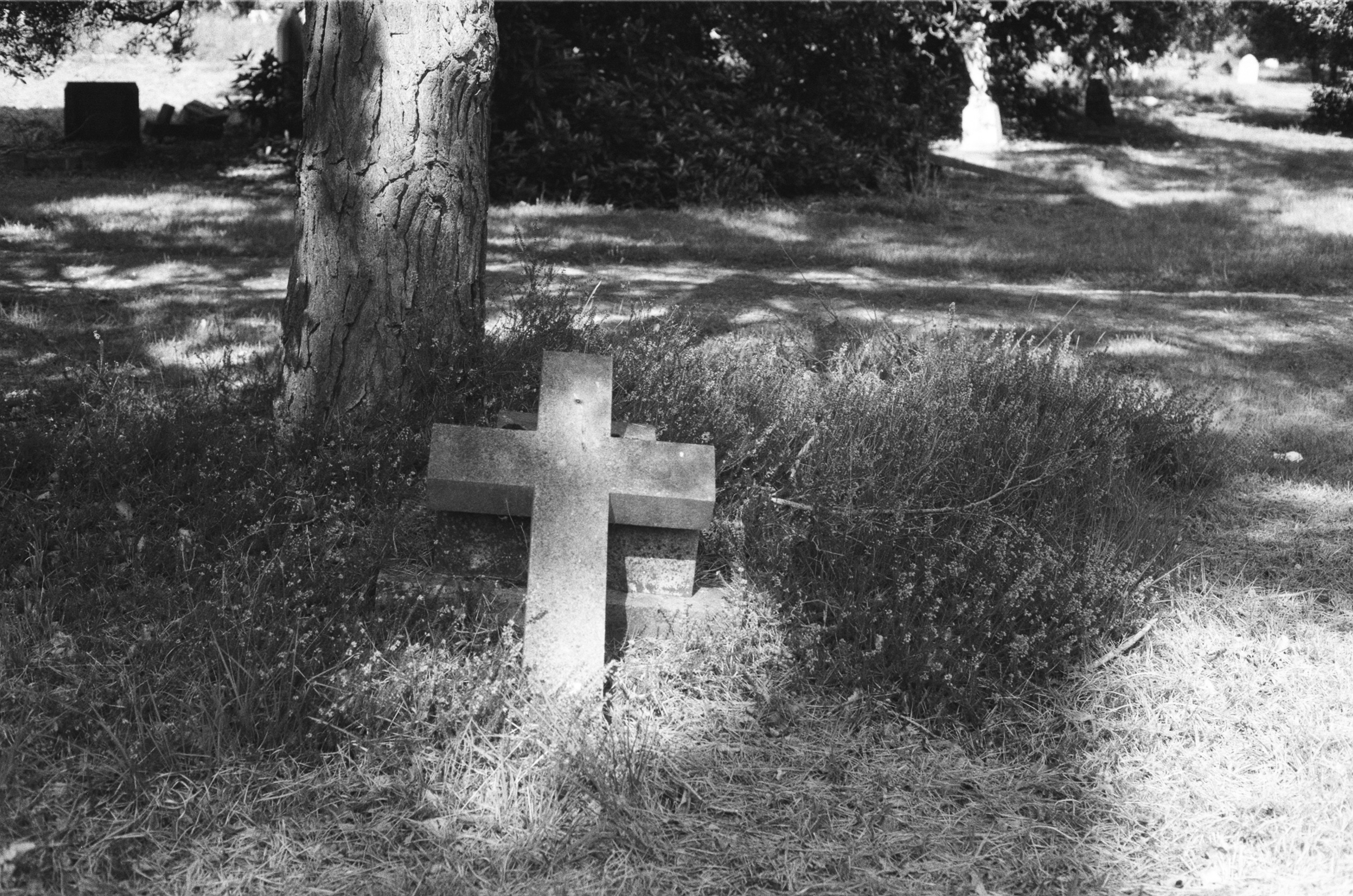 Photo by tanyabarrow