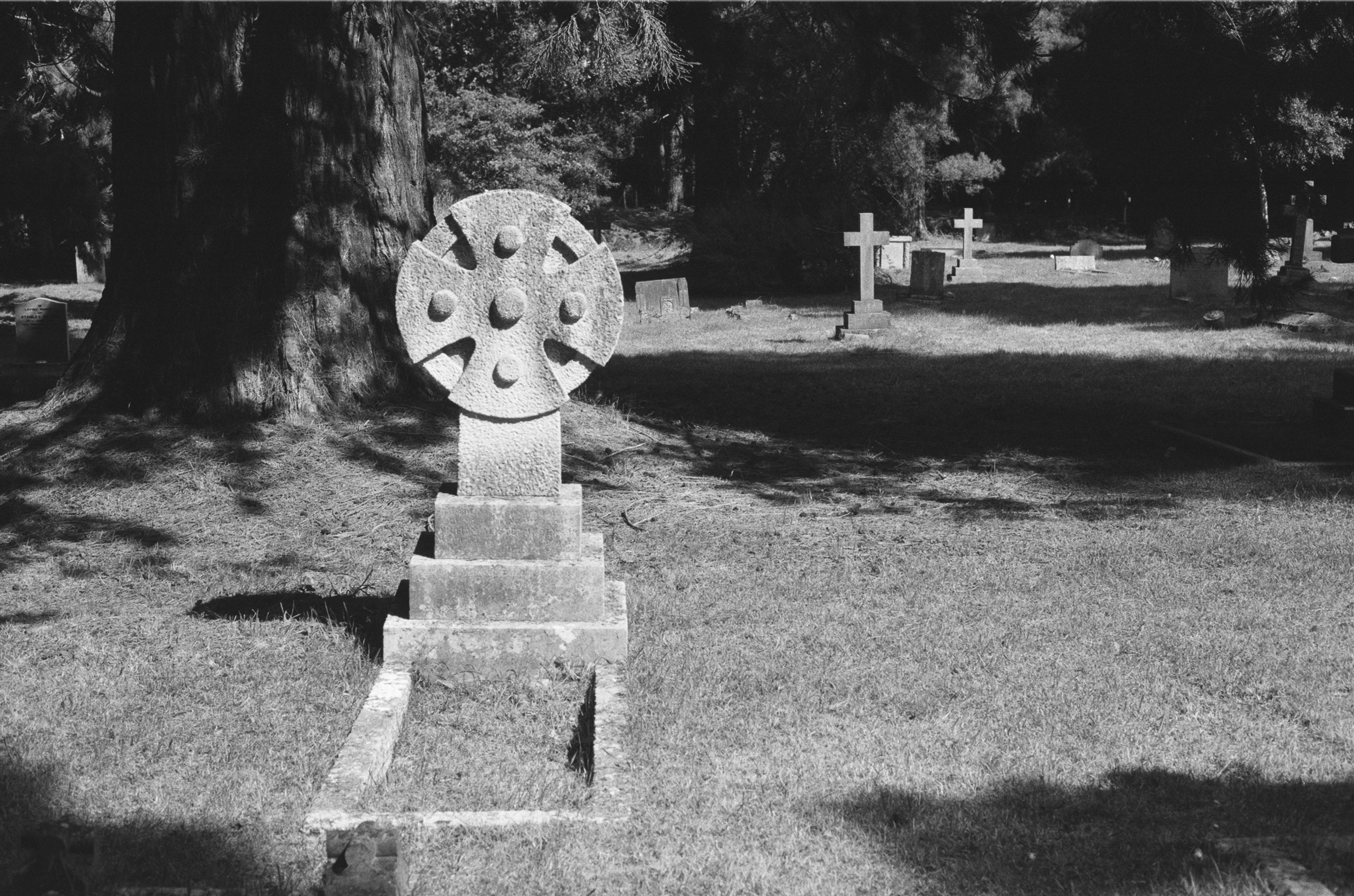 Photo by tanyabarrow