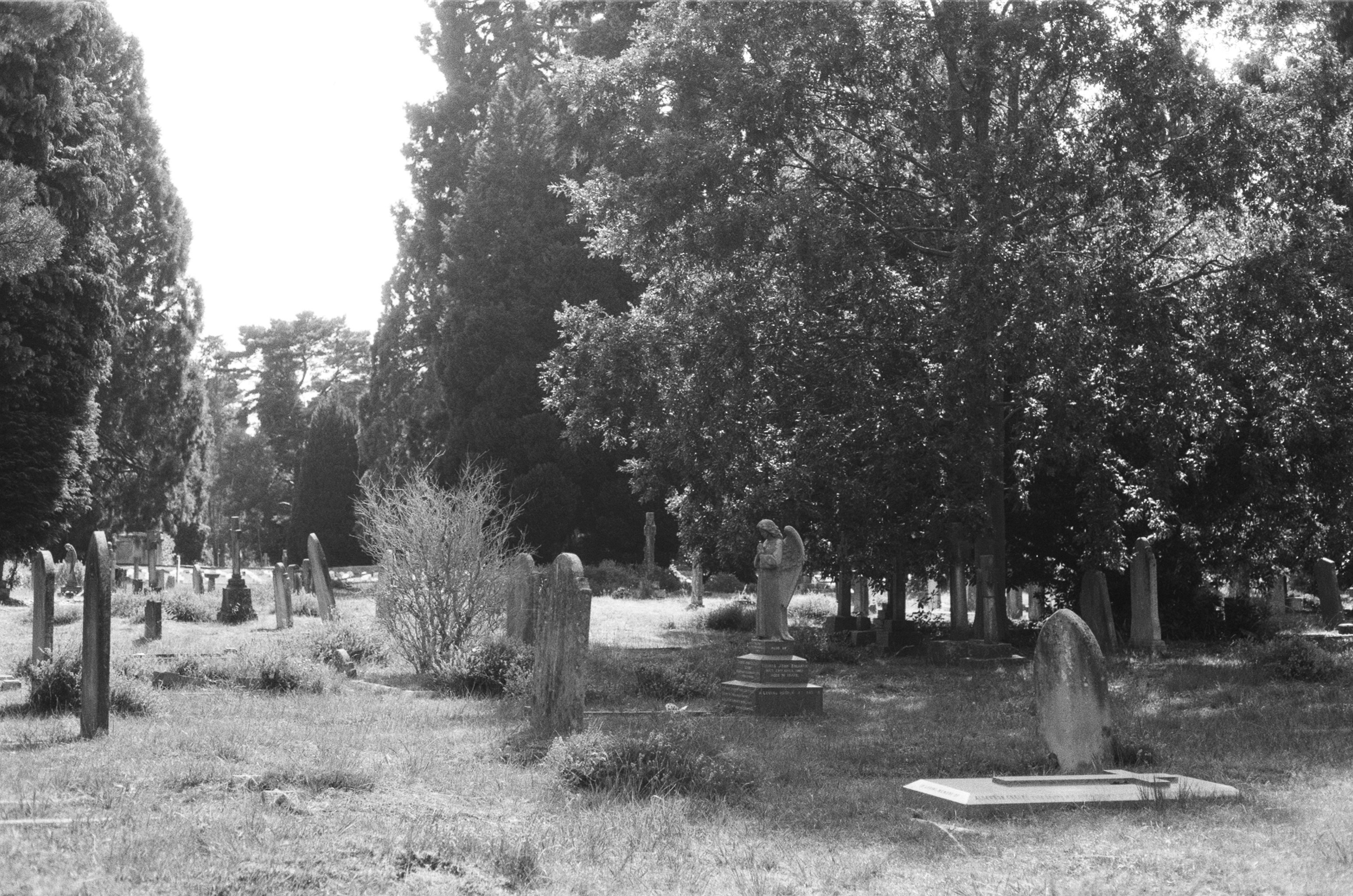 Photo by tanyabarrow