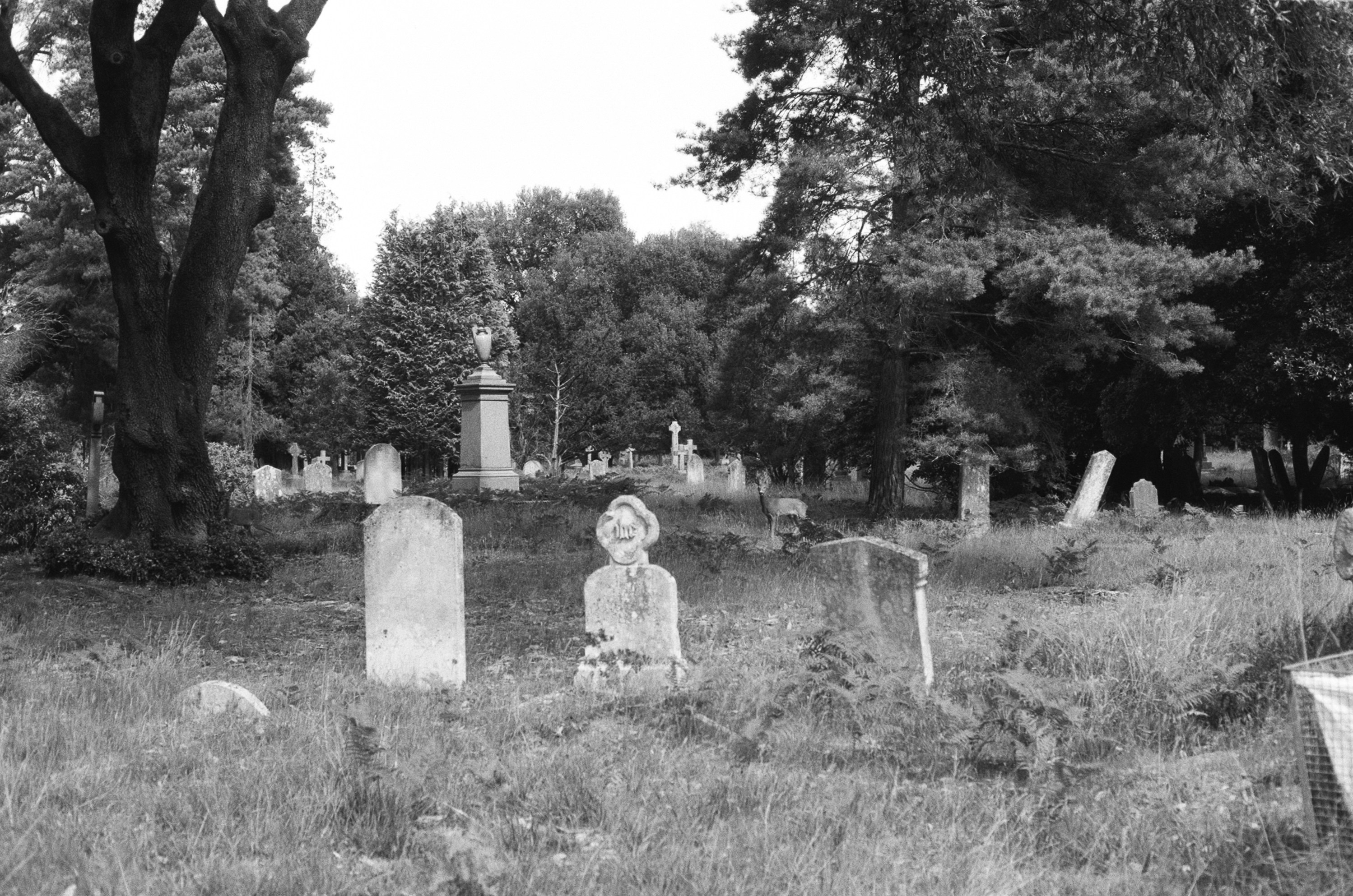 Photo by tanyabarrow