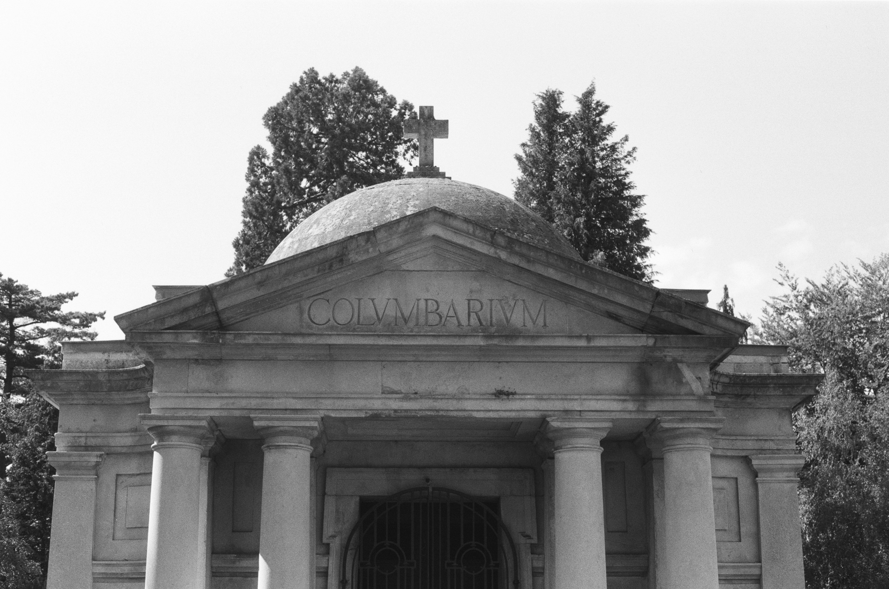 Photo by tanyabarrow