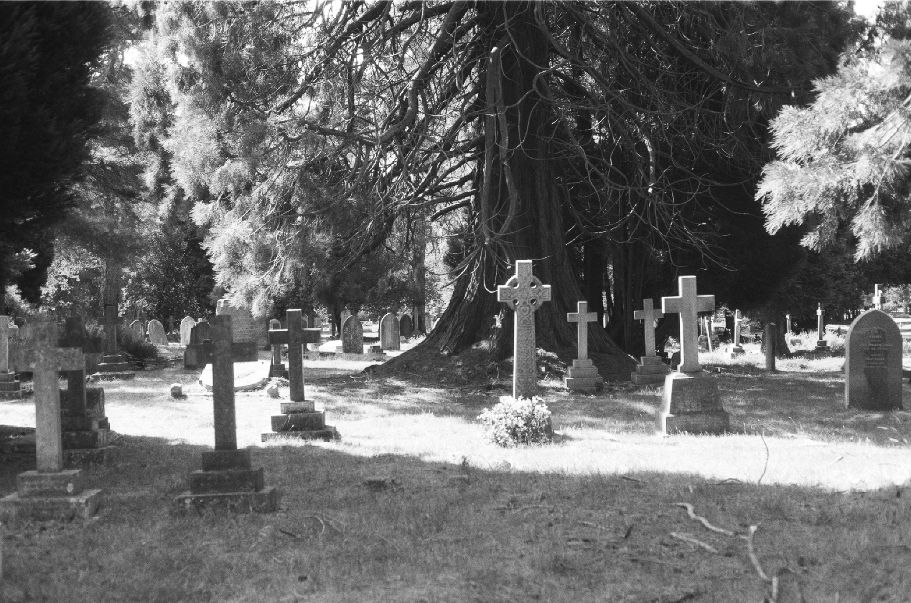 Photo by tanyabarrow