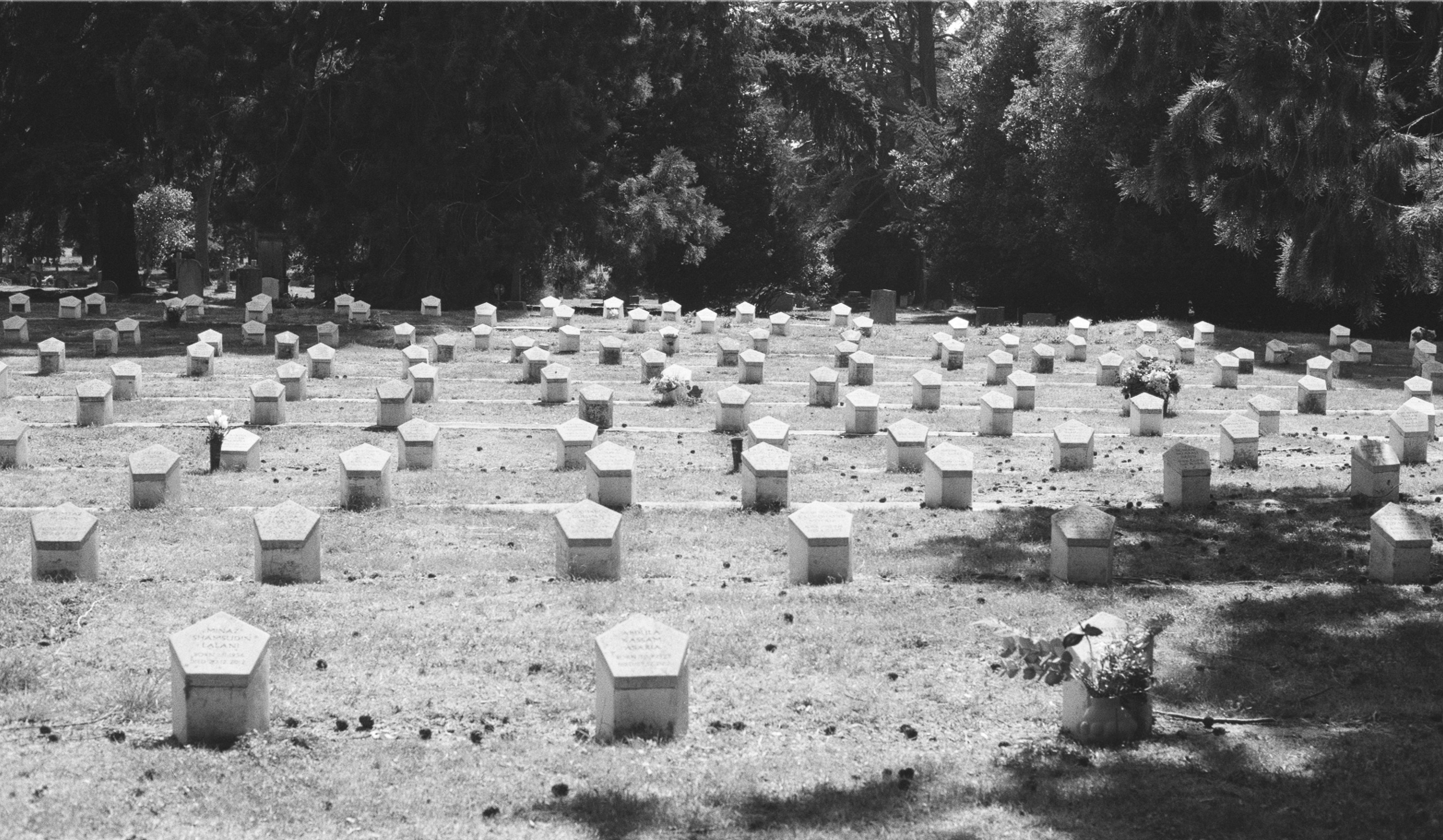 Photo by tanyabarrow