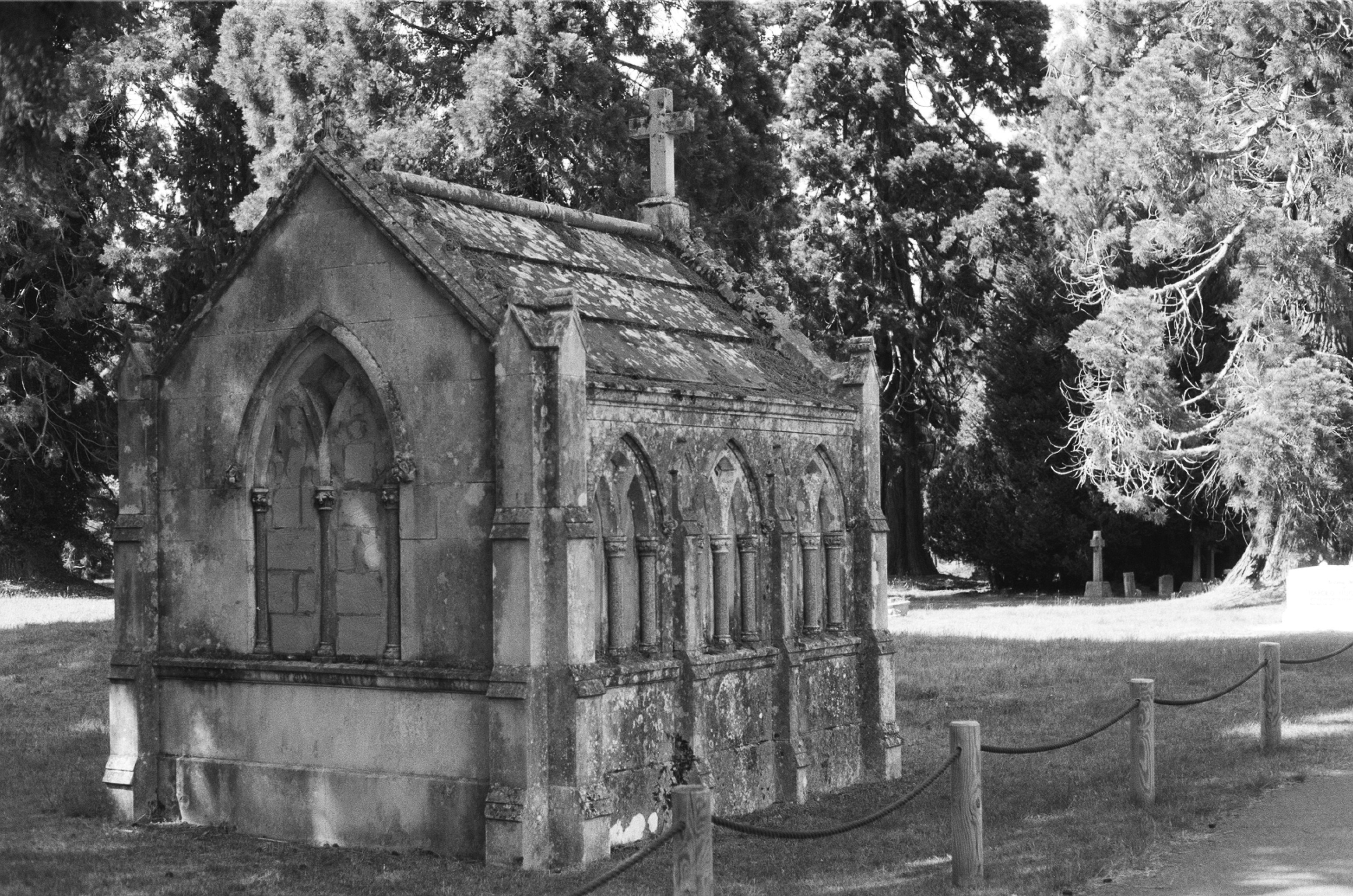 Photo by tanyabarrow