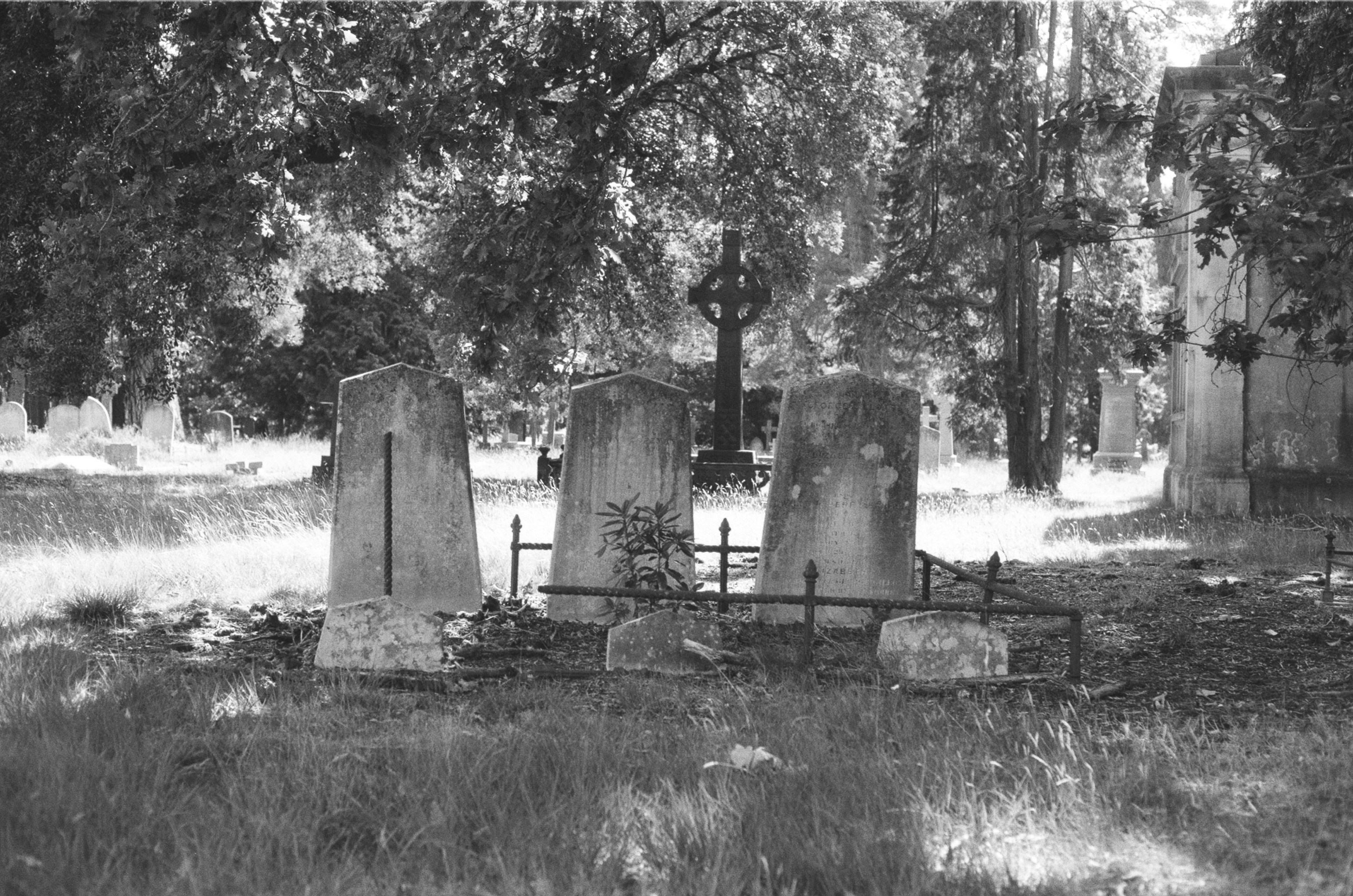 Photo by tanyabarrow