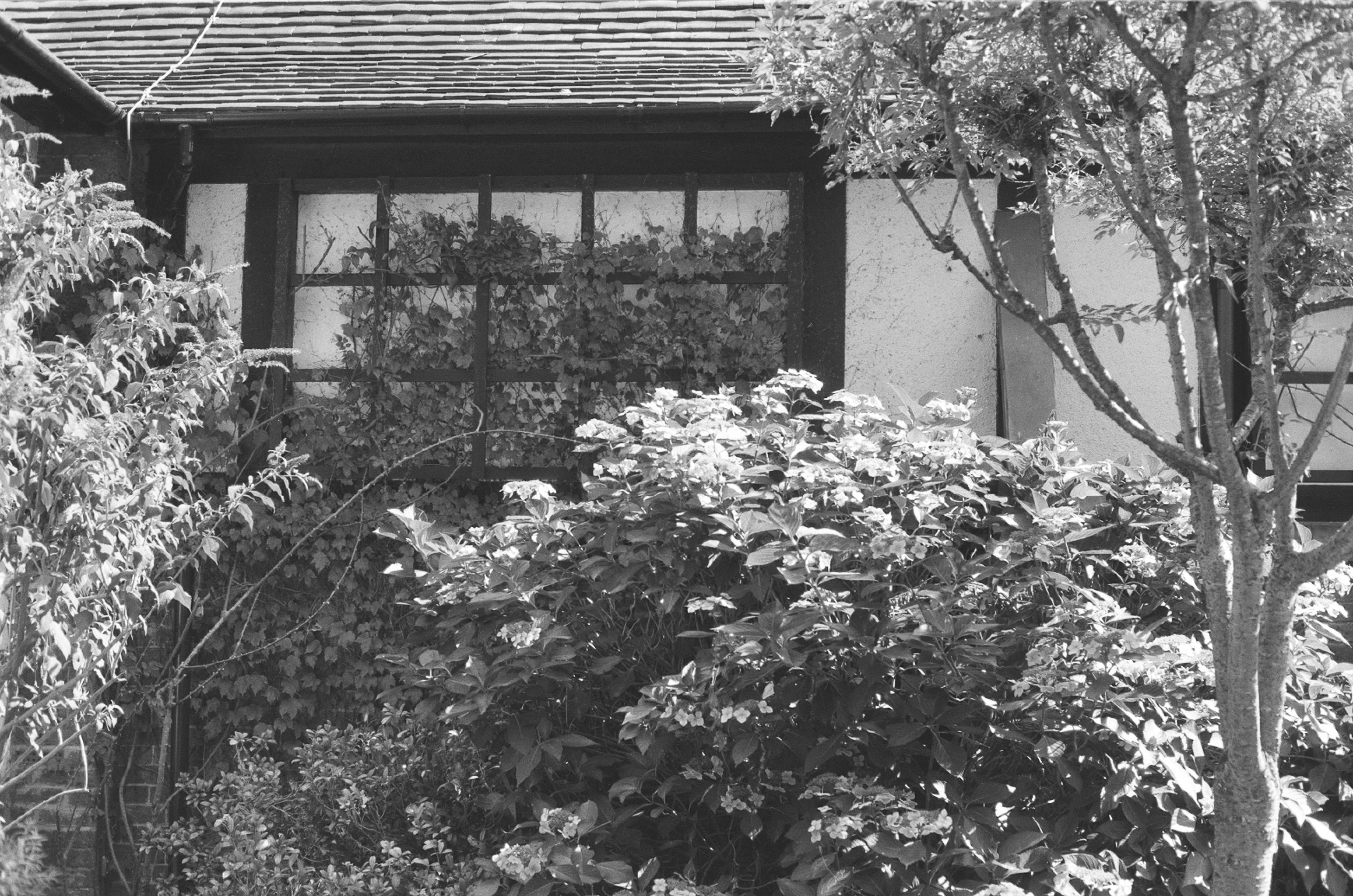 Photo by tanyabarrow