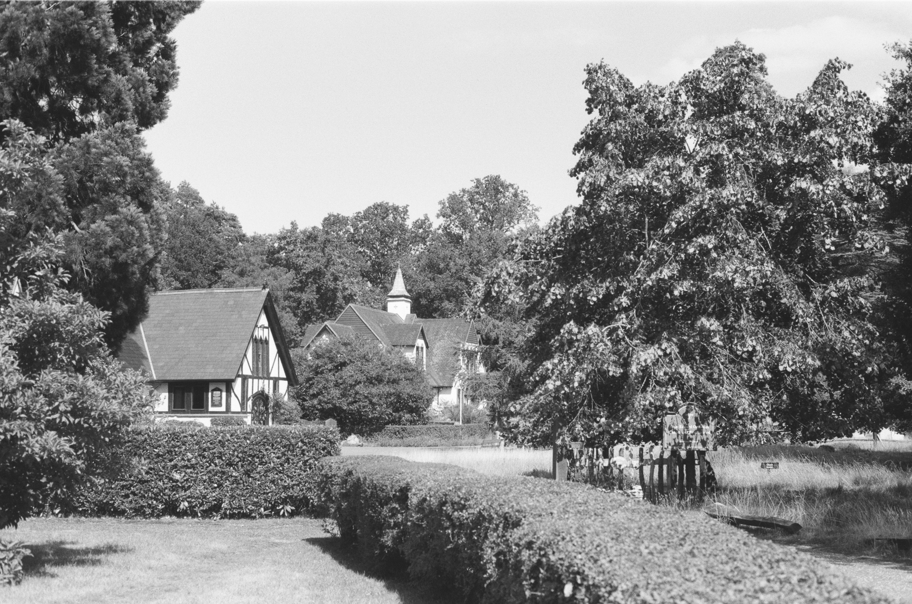 Two houses nestled among lush trees and manicured hedges.
