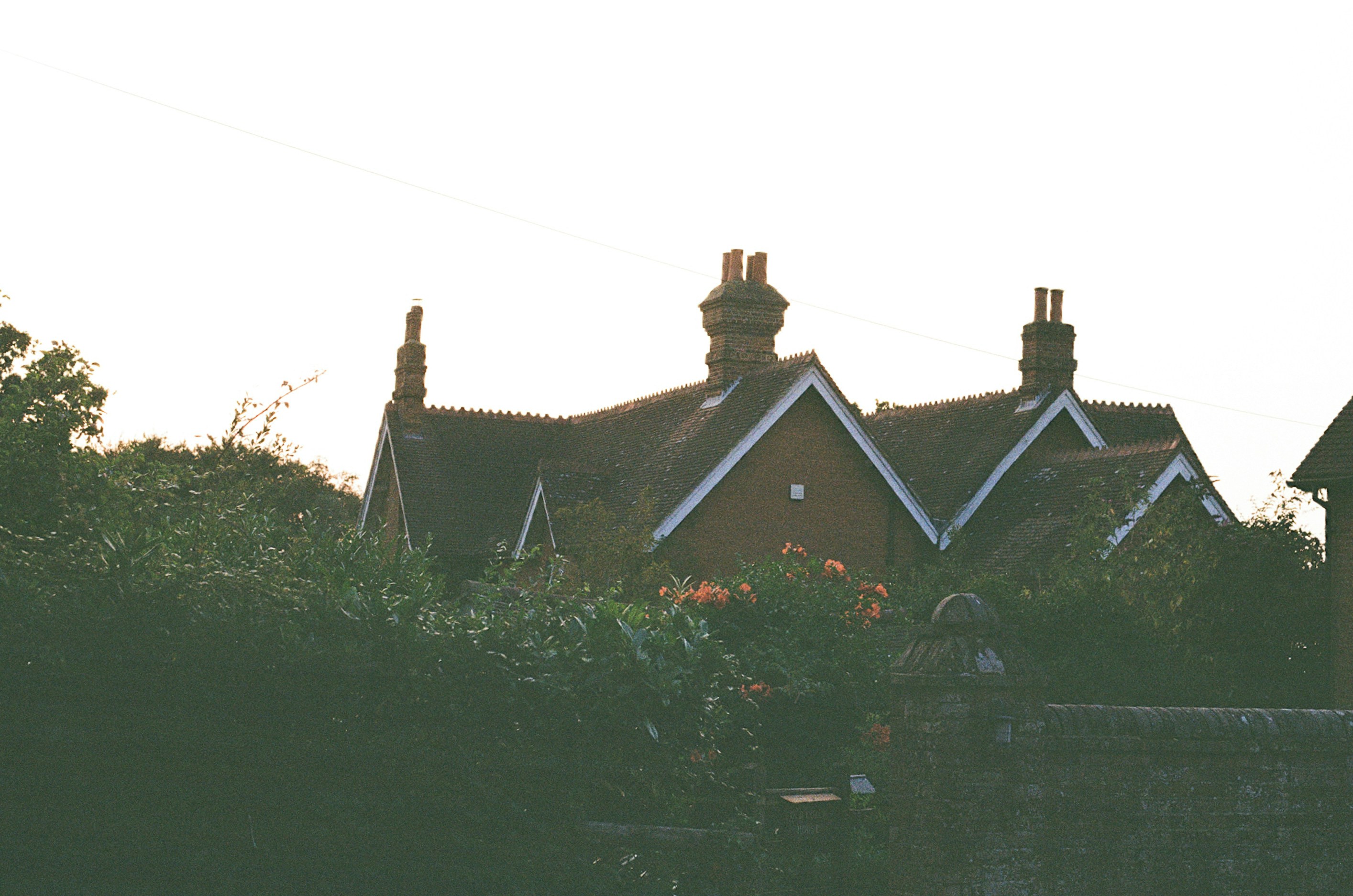 Photo by tanyabarrow