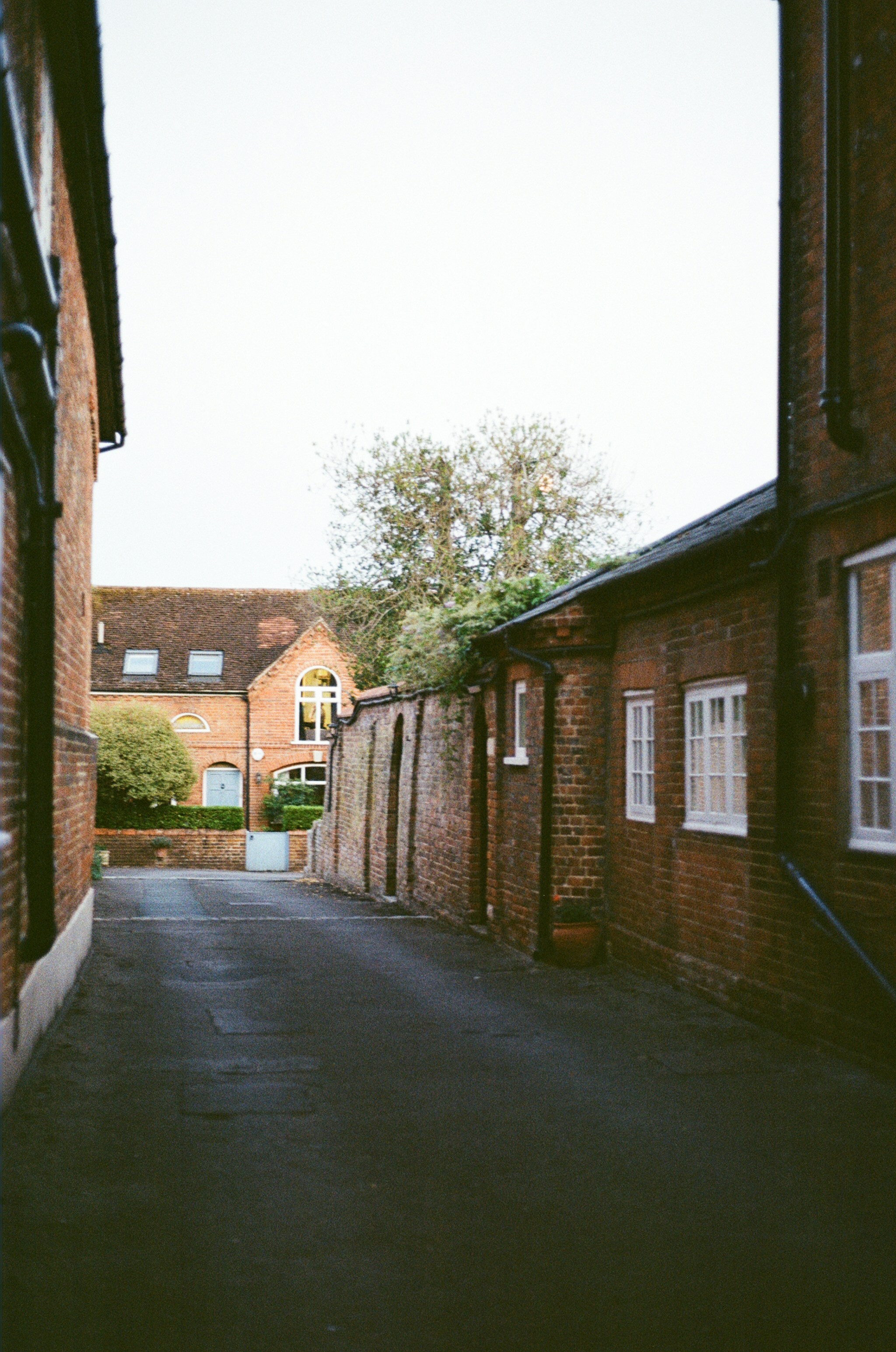 Photo by tanyabarrow