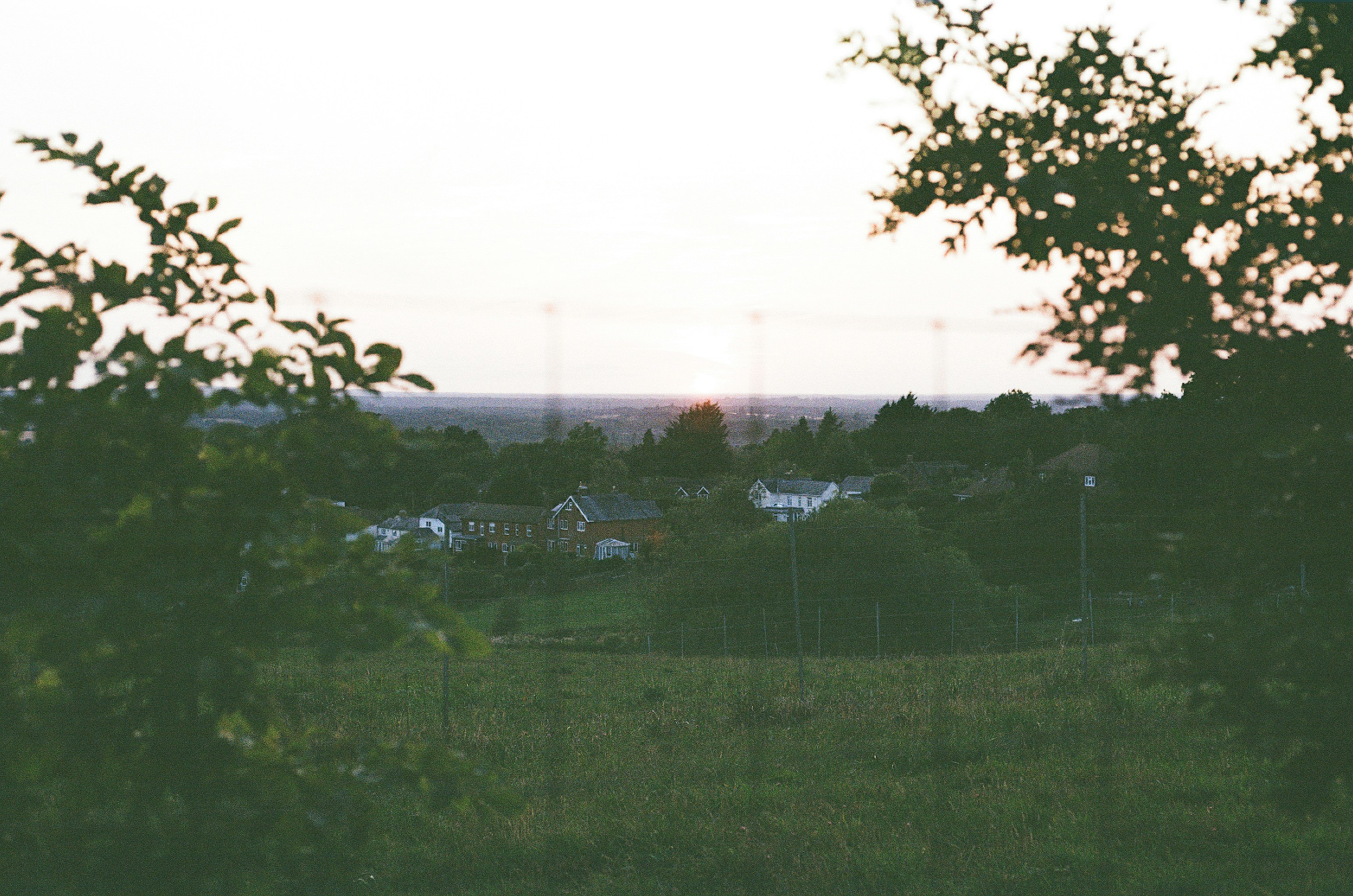 Photo by tanyabarrow