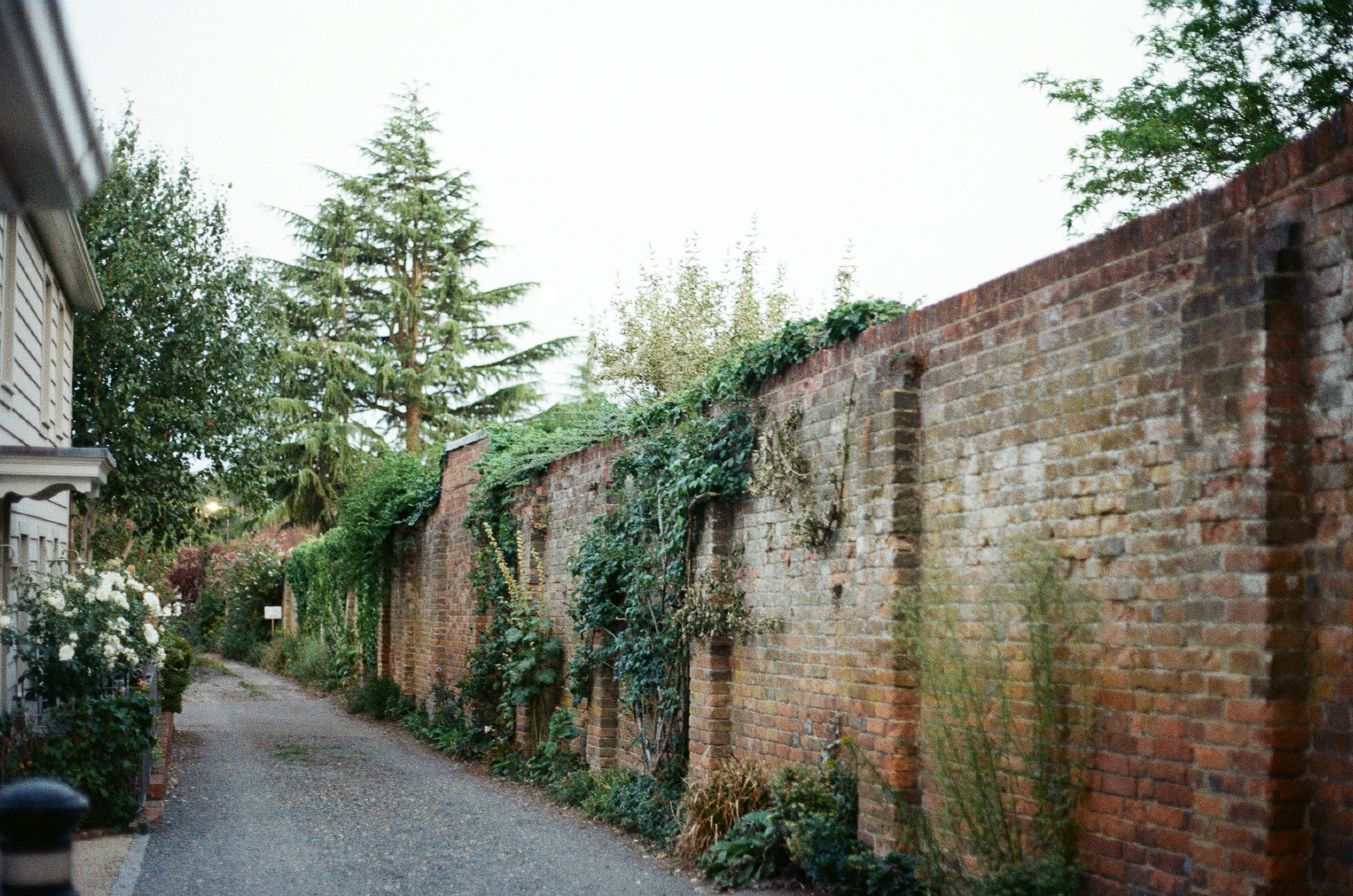 Photo by tanyabarrow