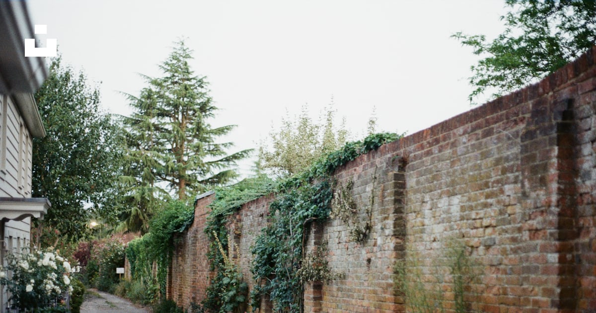 Wales Alley