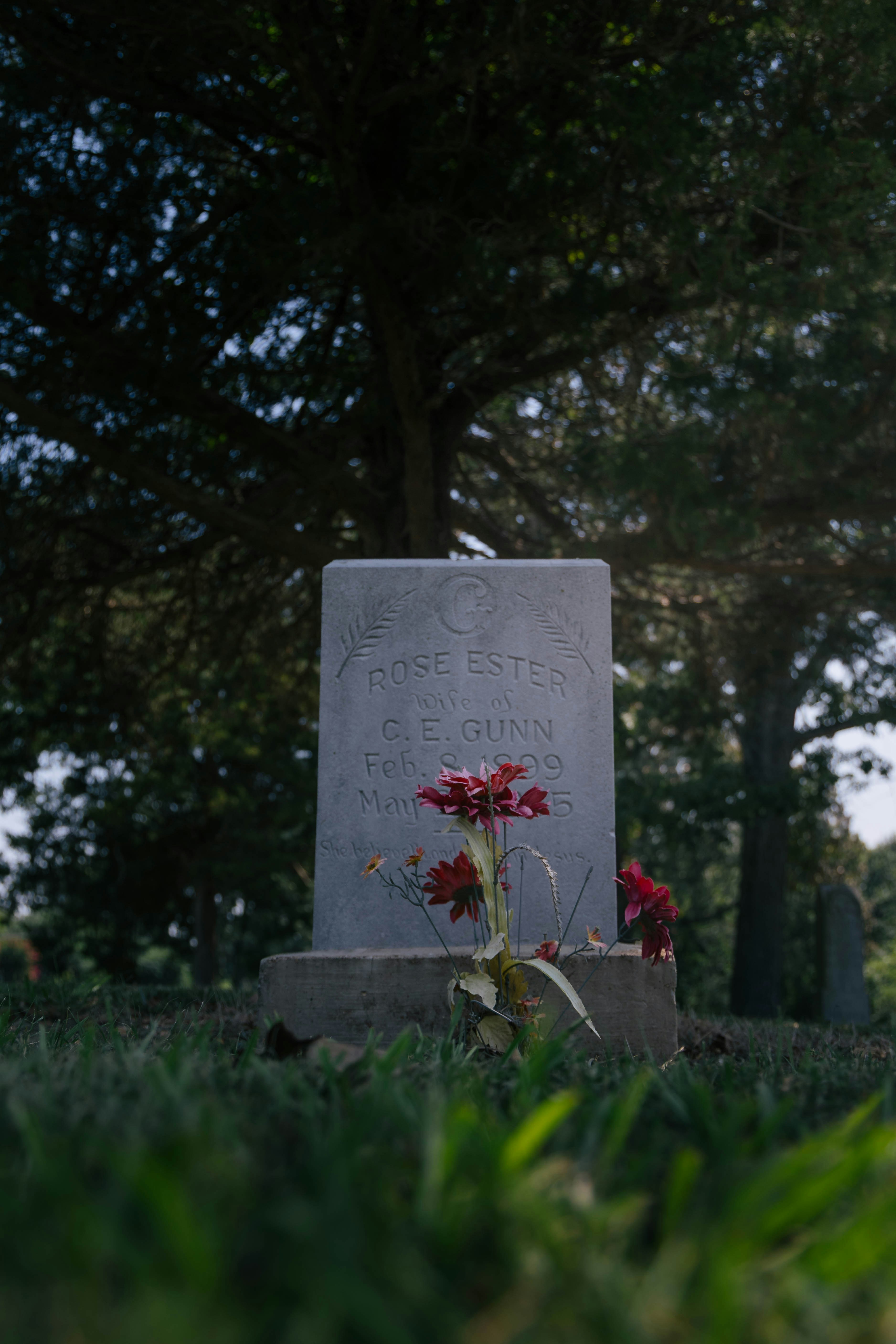Tombstone with flowers in a grassy cemetery