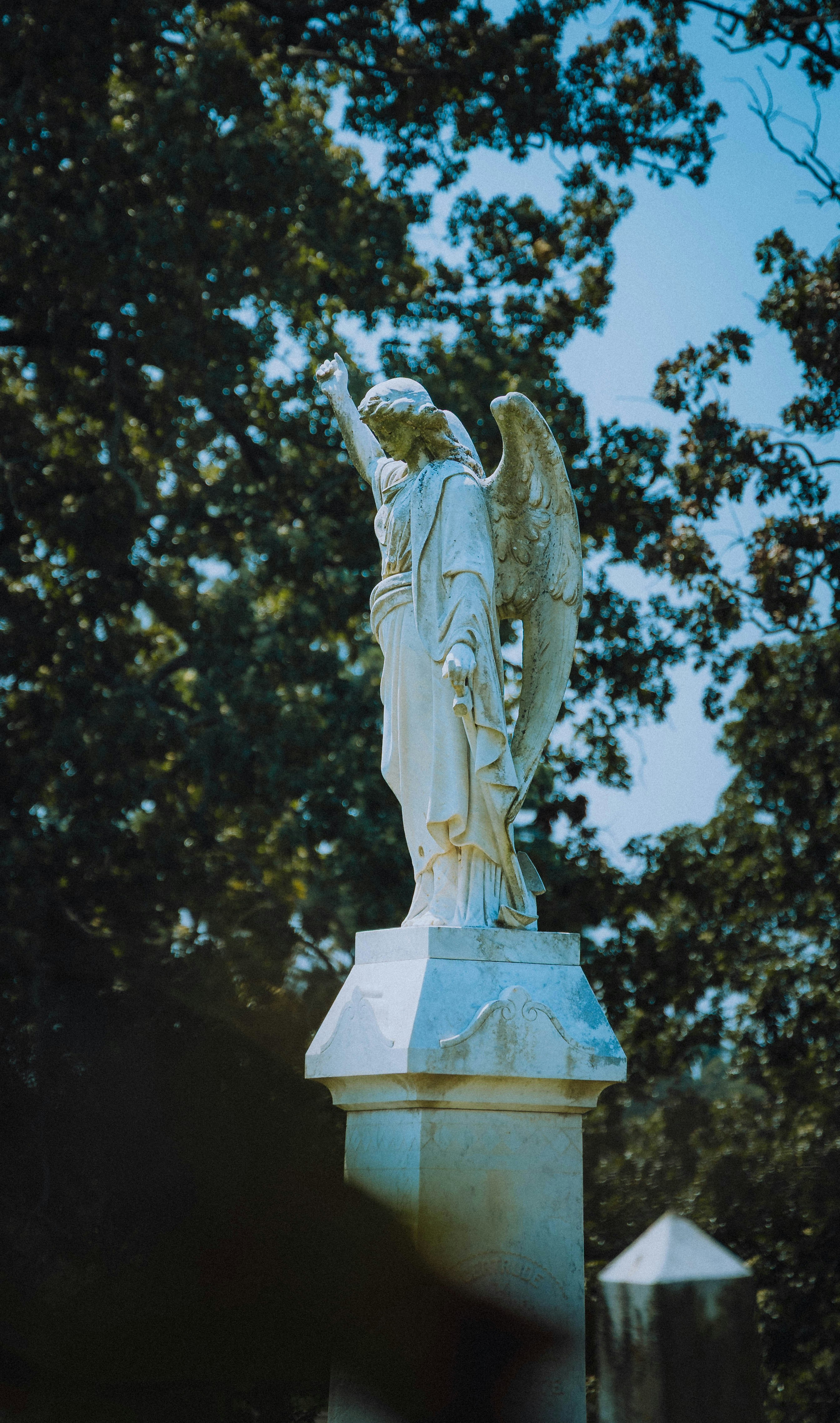 Photo by carbonmonoxide