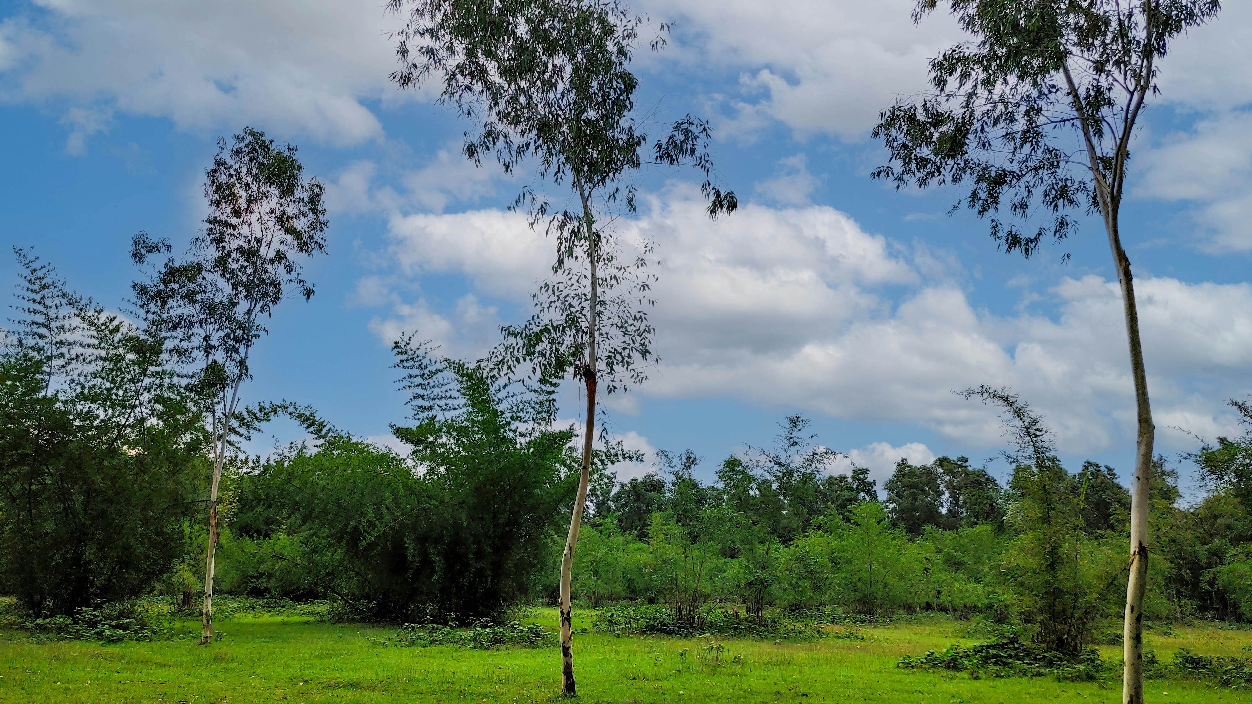 Photo by kazalmahmood