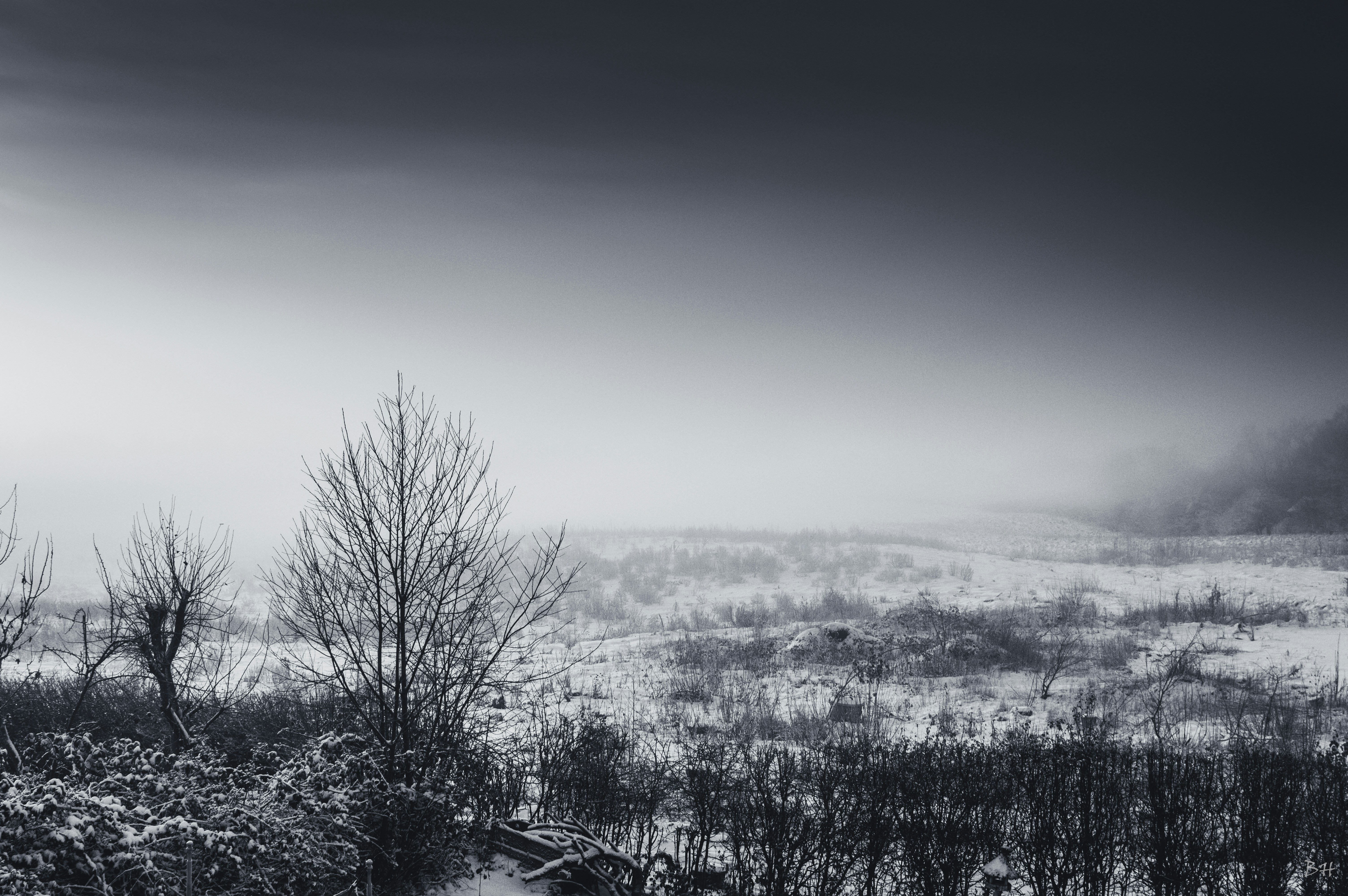 Photo by theoriginalbubi