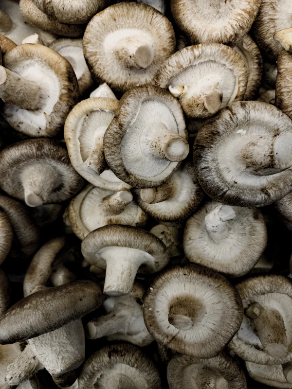 Fresh Shiitake Mushrooms (200g)