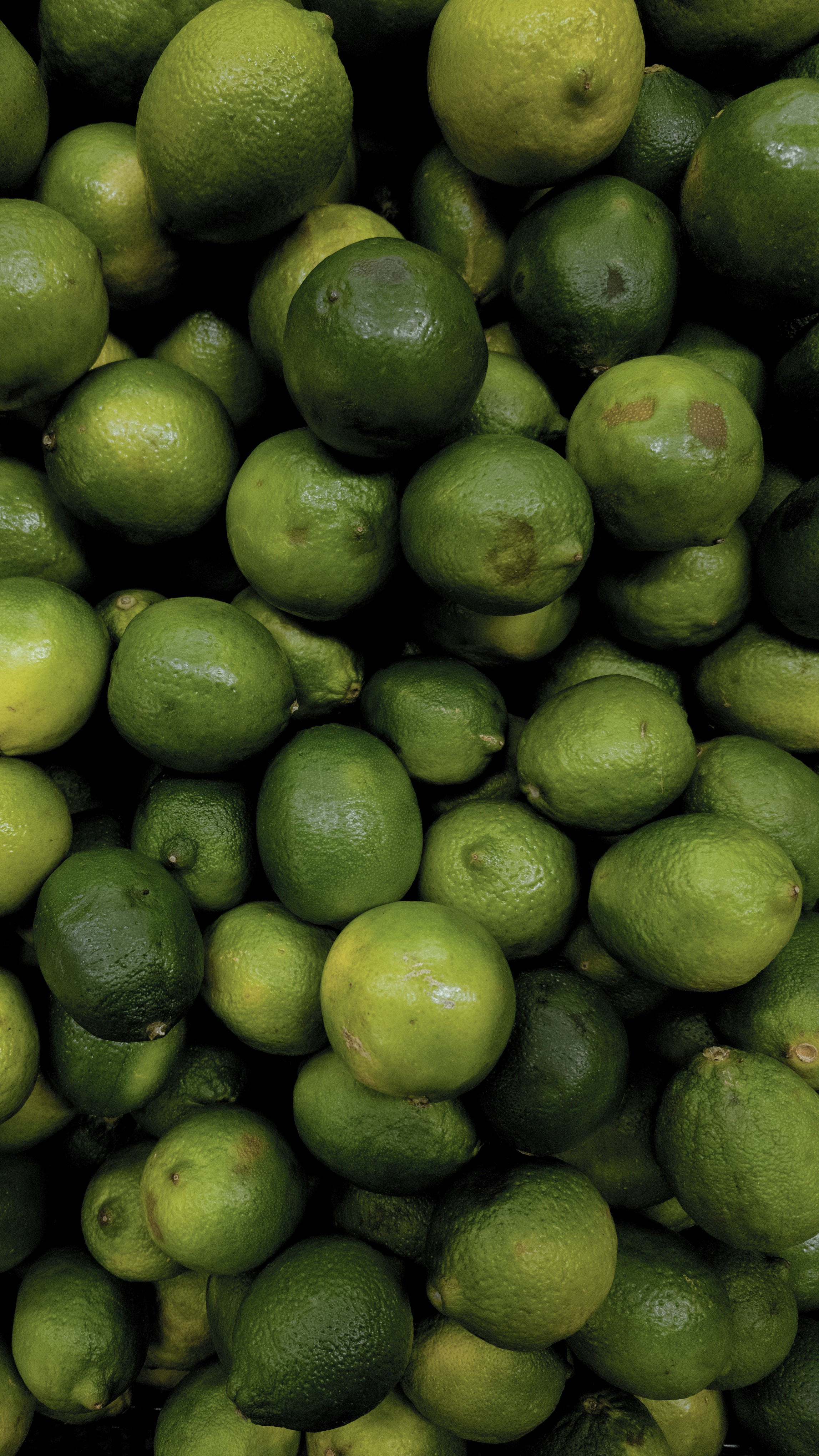 Photo by olgakondratenko