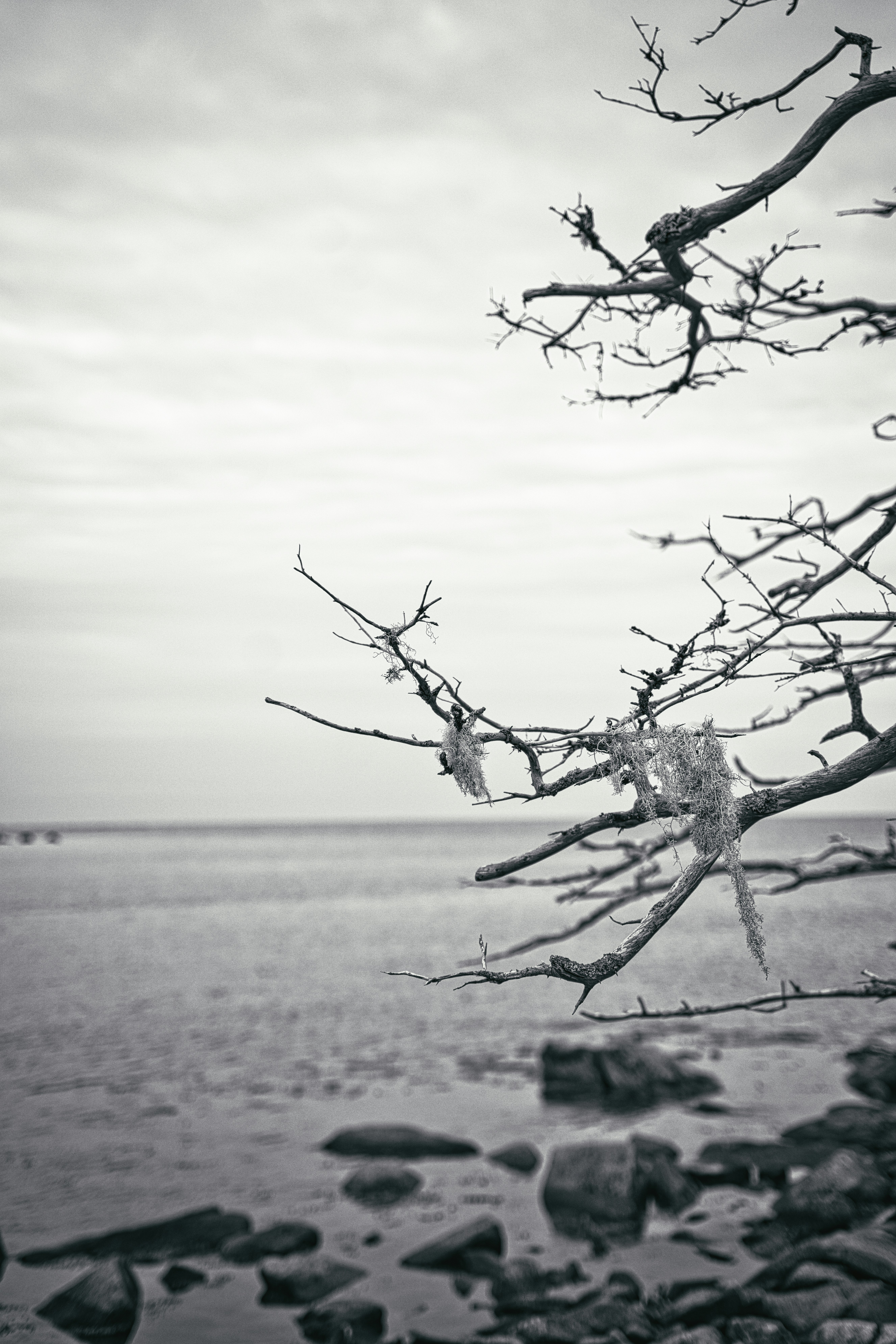 Photo by shottrotter