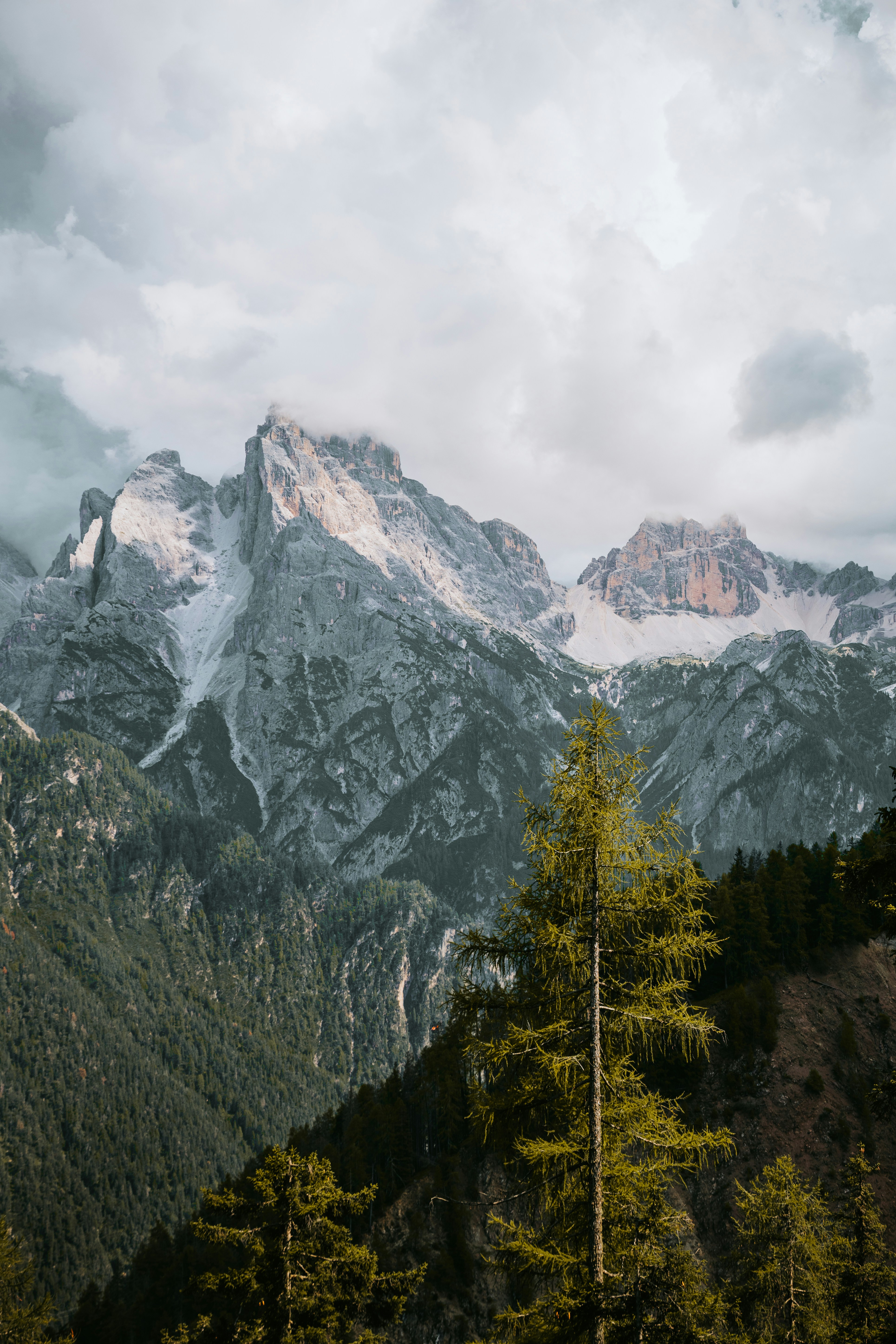 Photo by kneervisuals