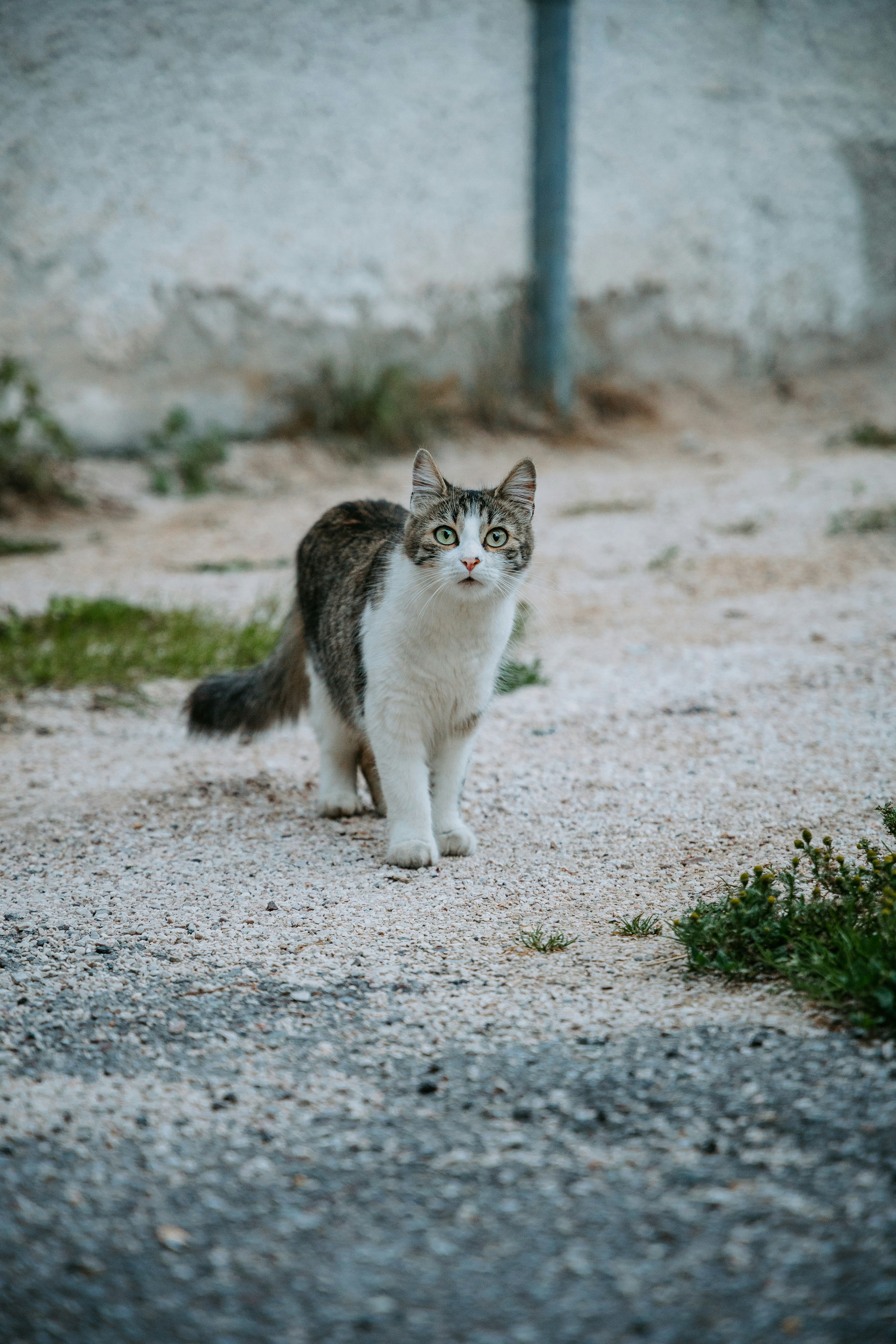 Photo by kneervisuals