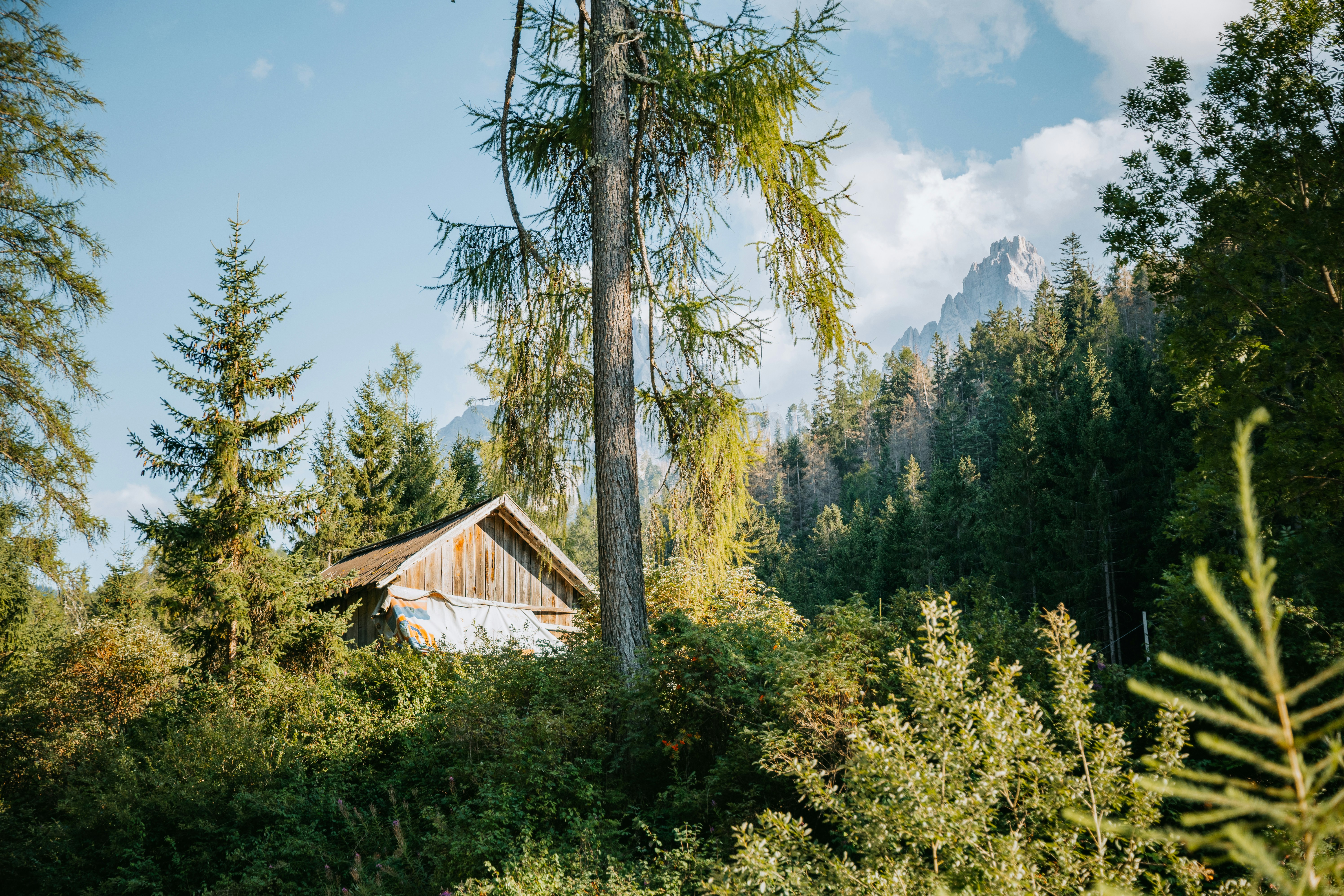 Photo by kneervisuals