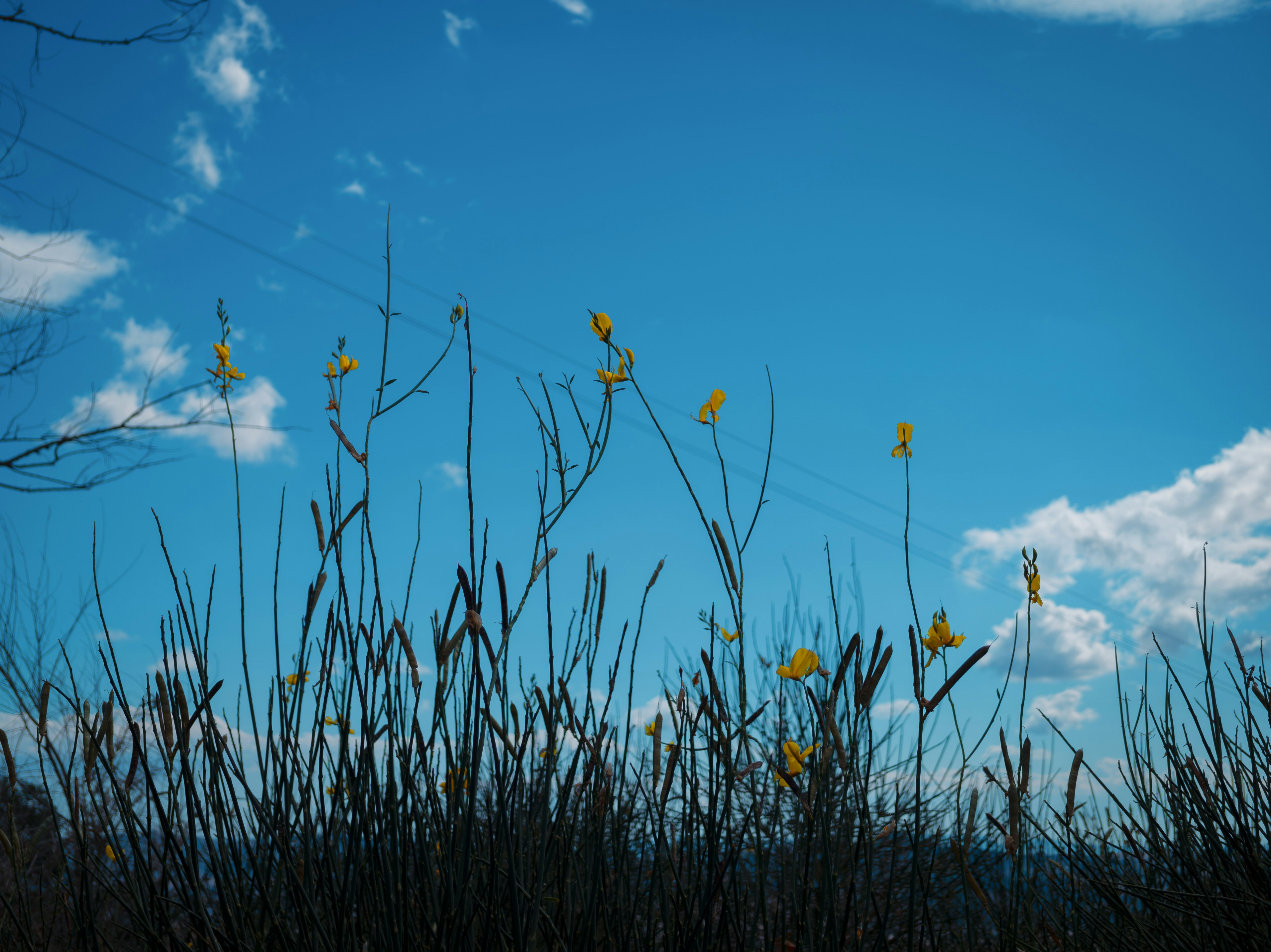 Photo by gieffe22