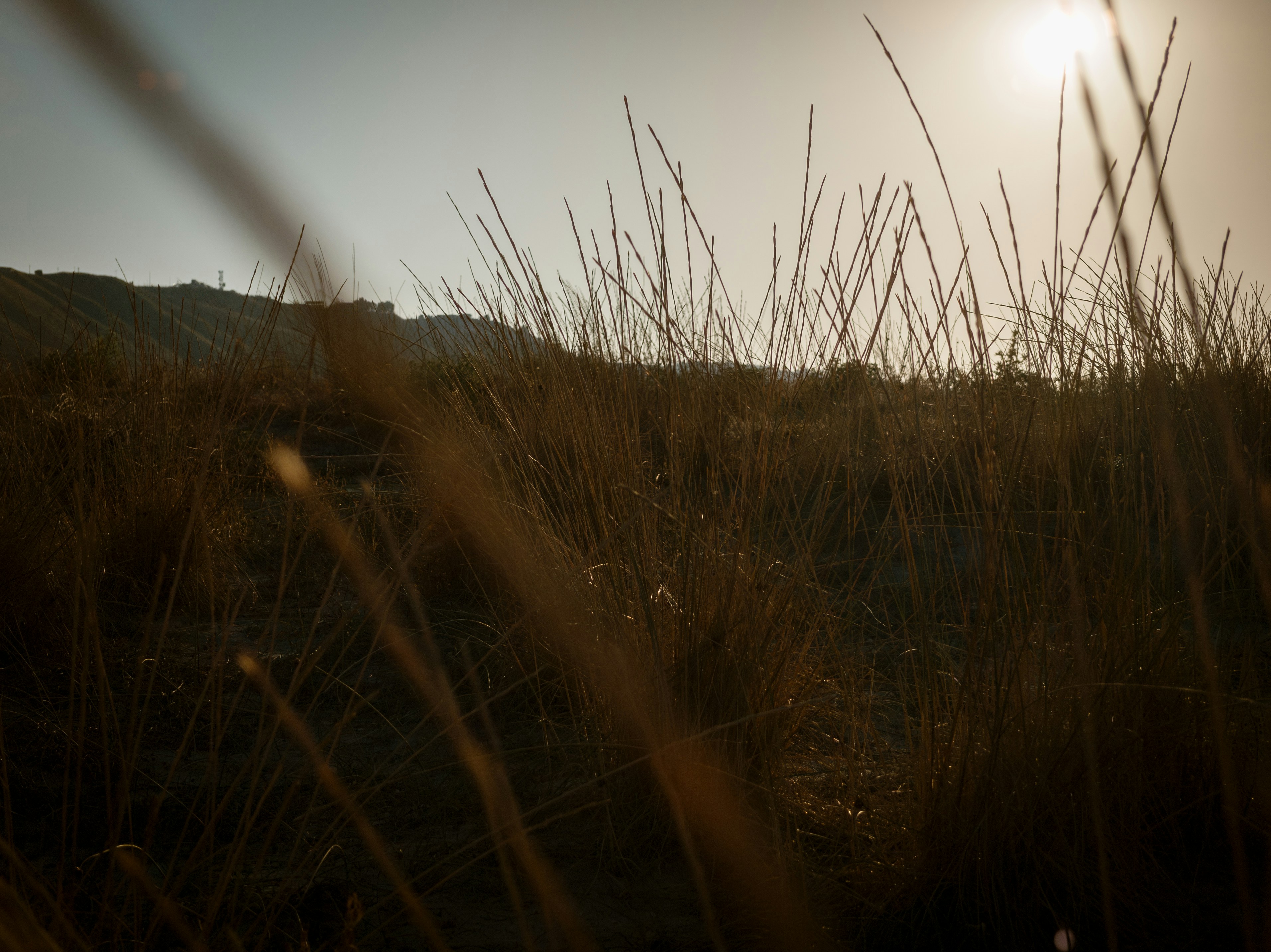 Photo by gieffe22