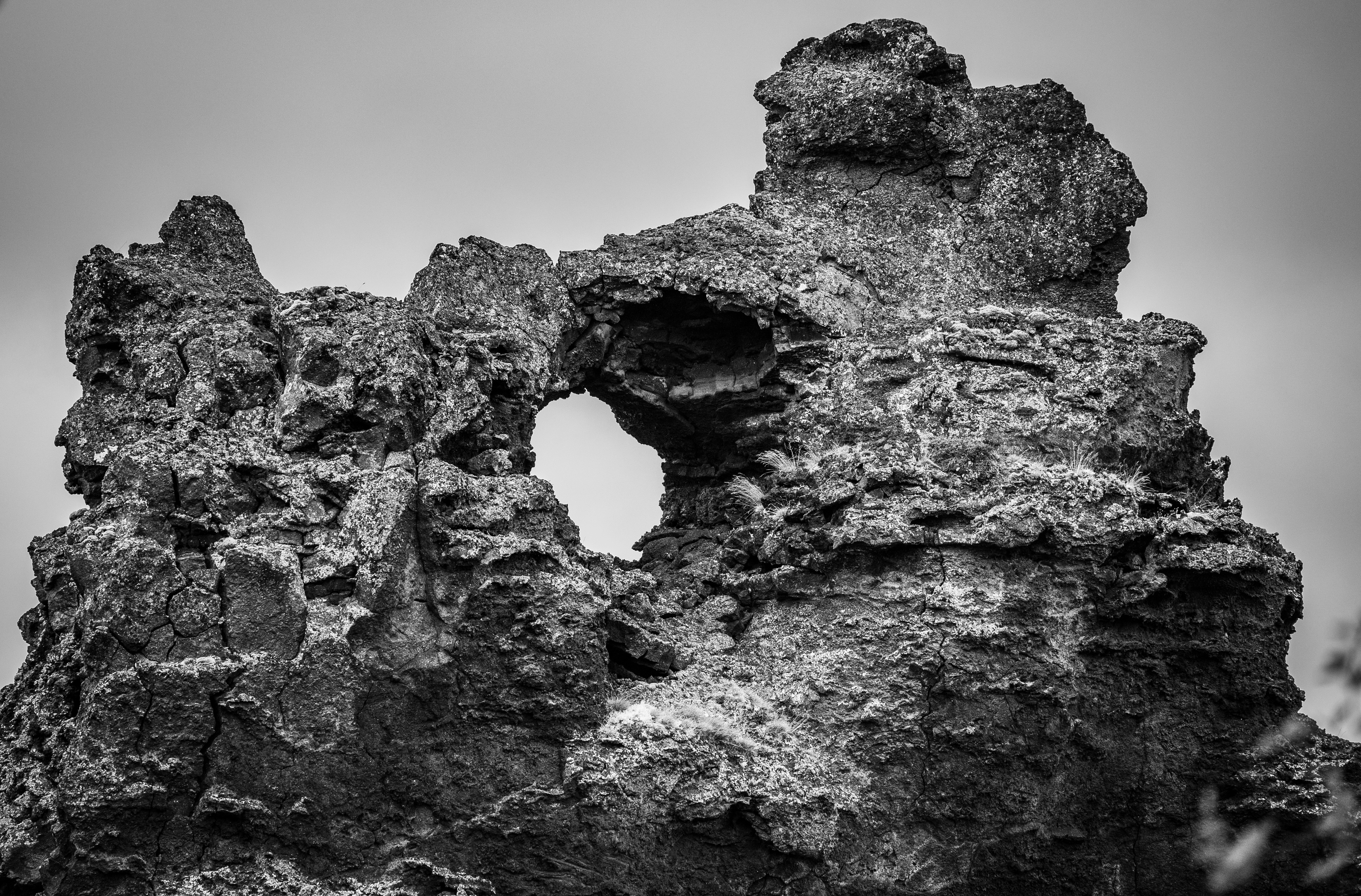 Photo by justmejuliee