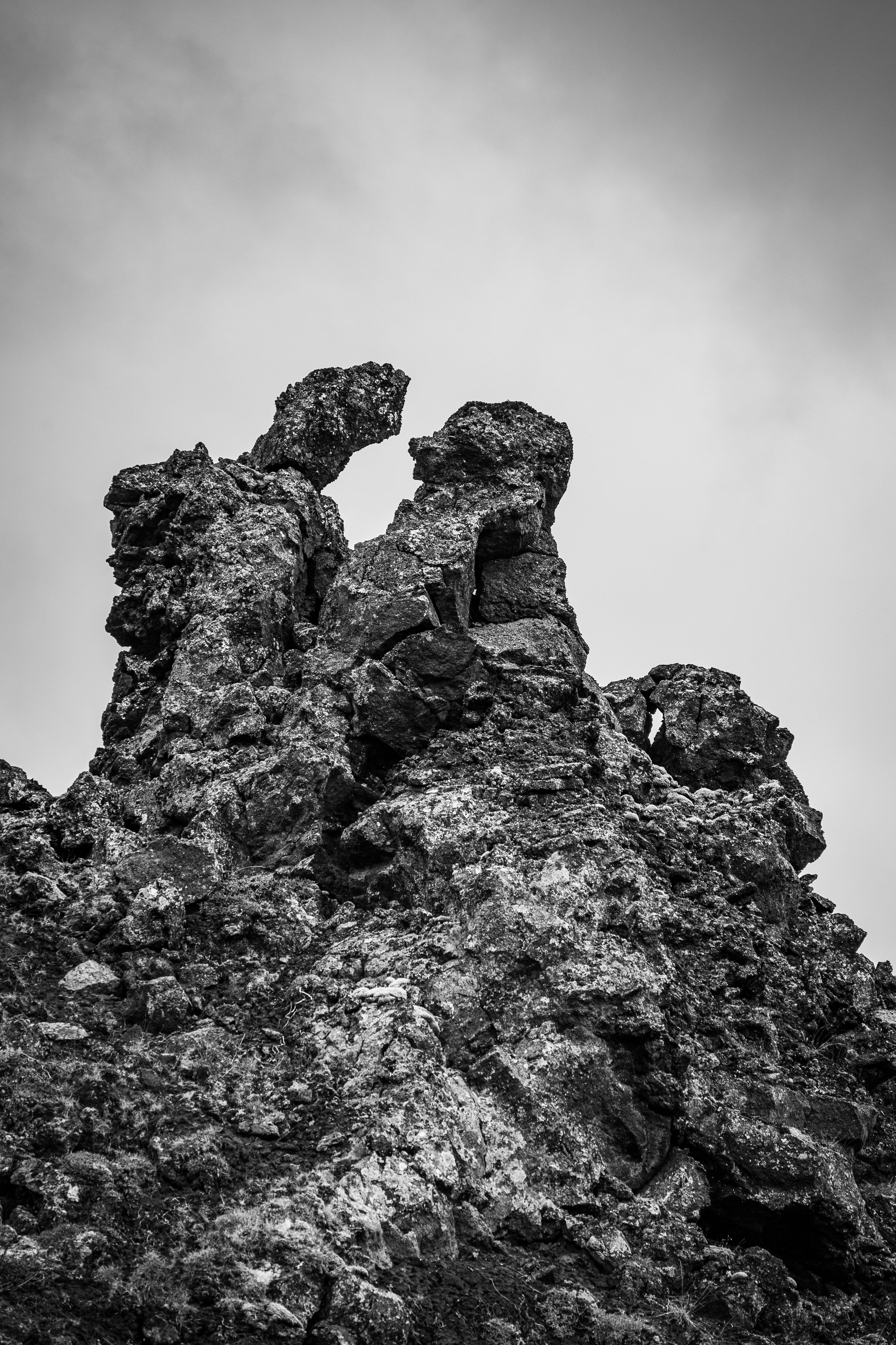 Photo by justmejuliee