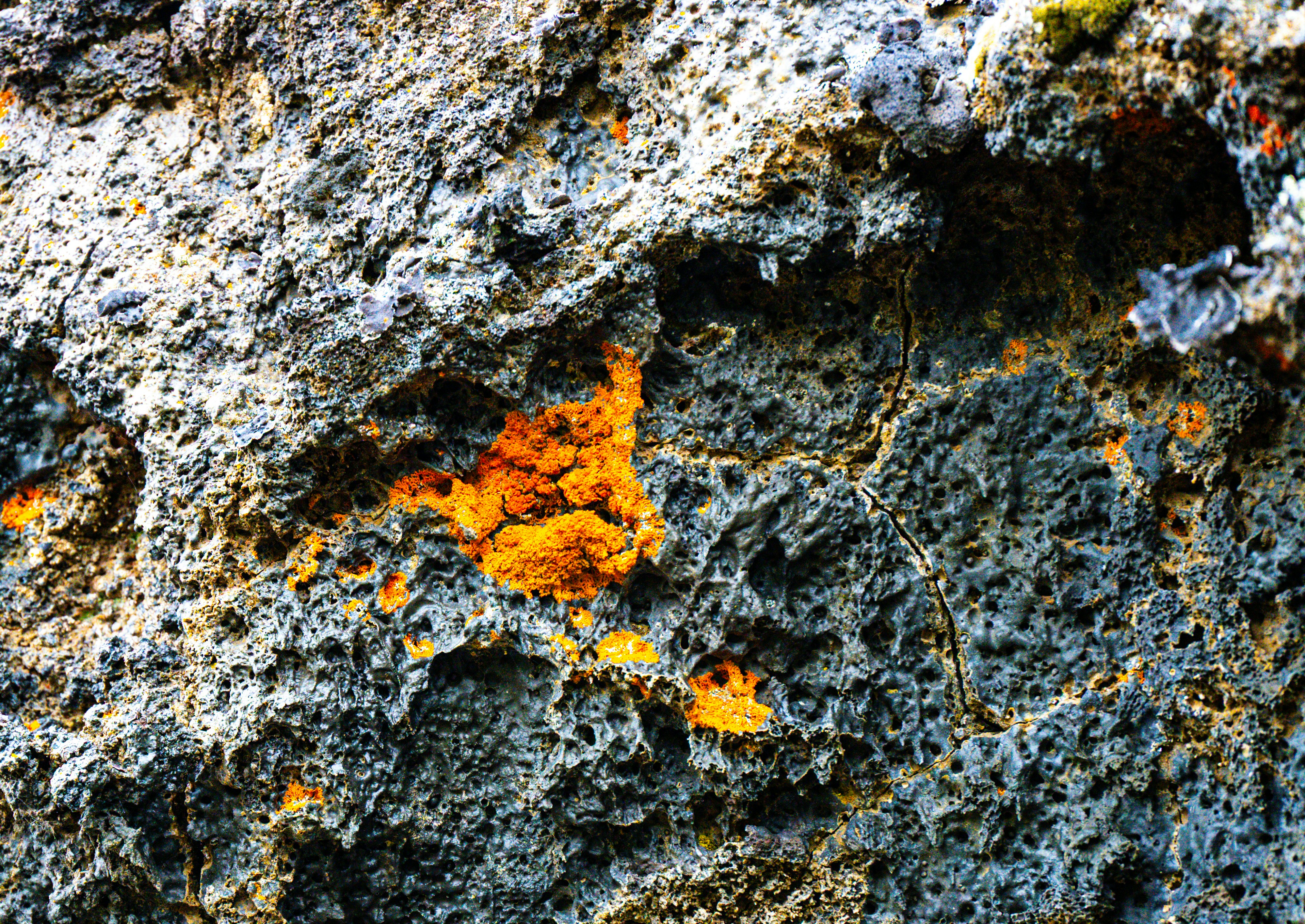 Photo by justmejuliee