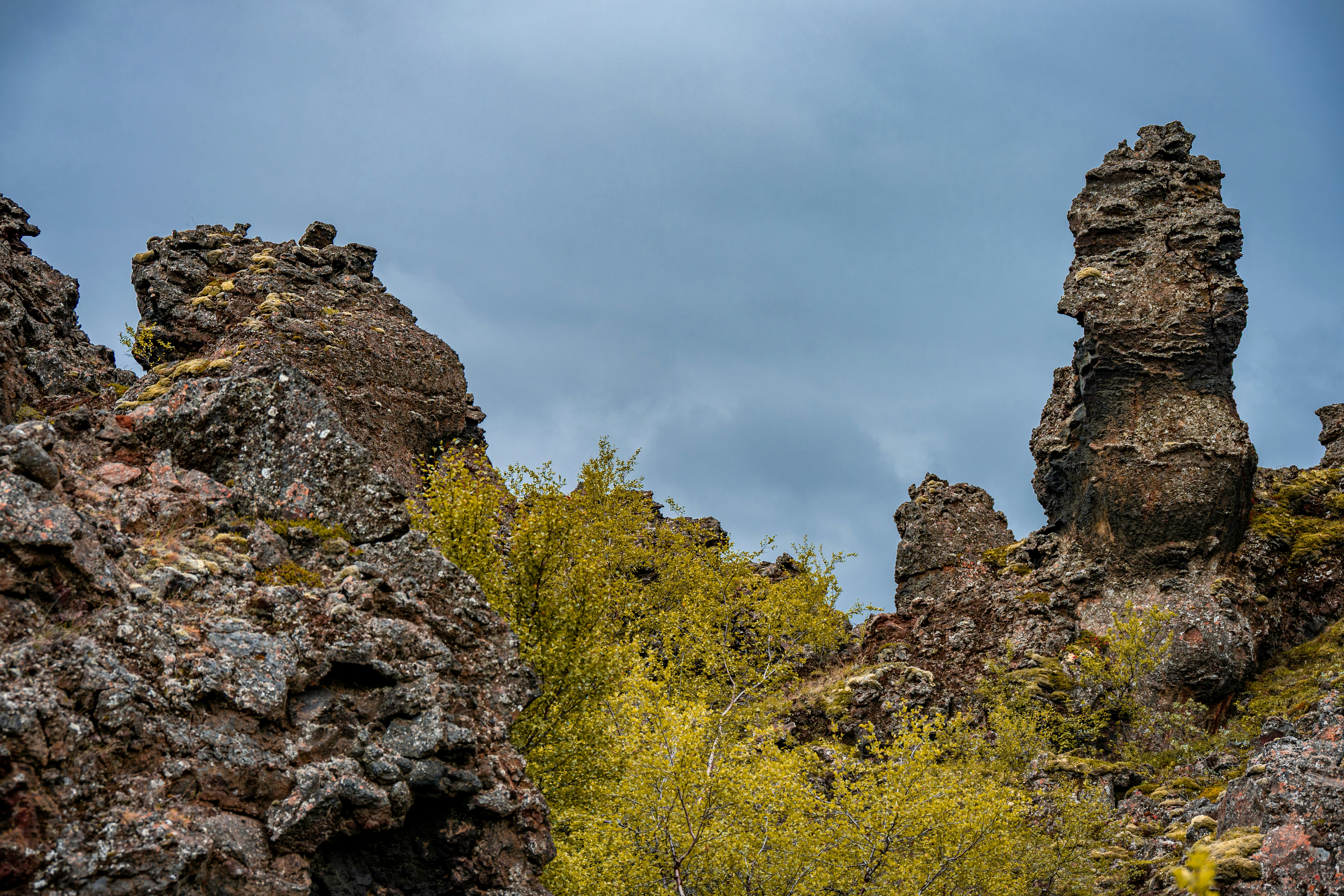 Photo by justmejuliee