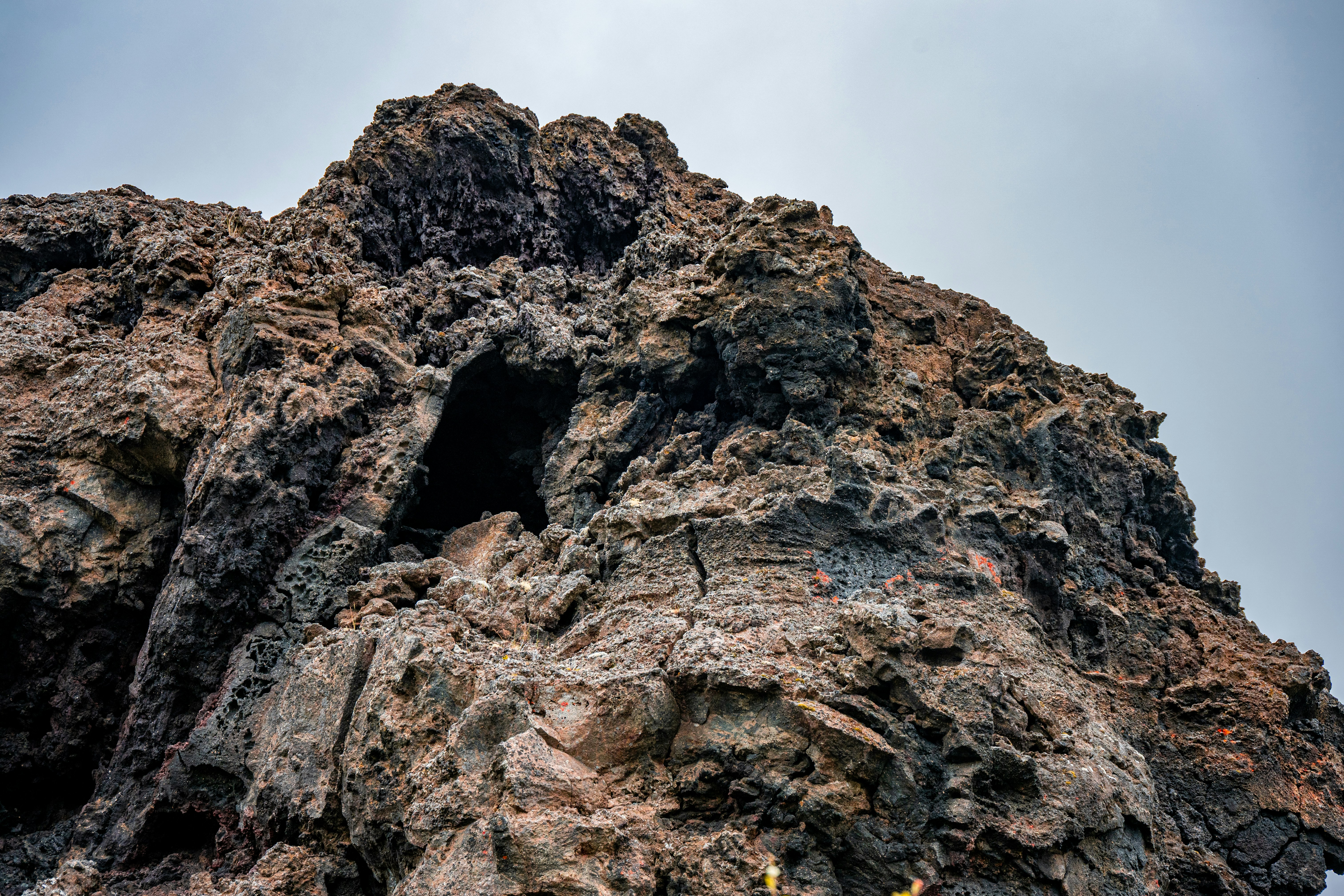 Photo by justmejuliee